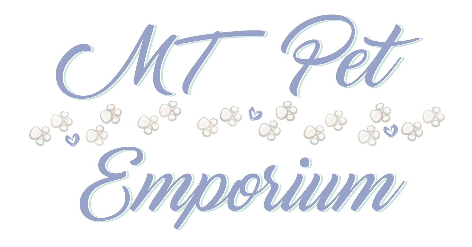 Hermit Crab Subscriptions MT Pet Emporium