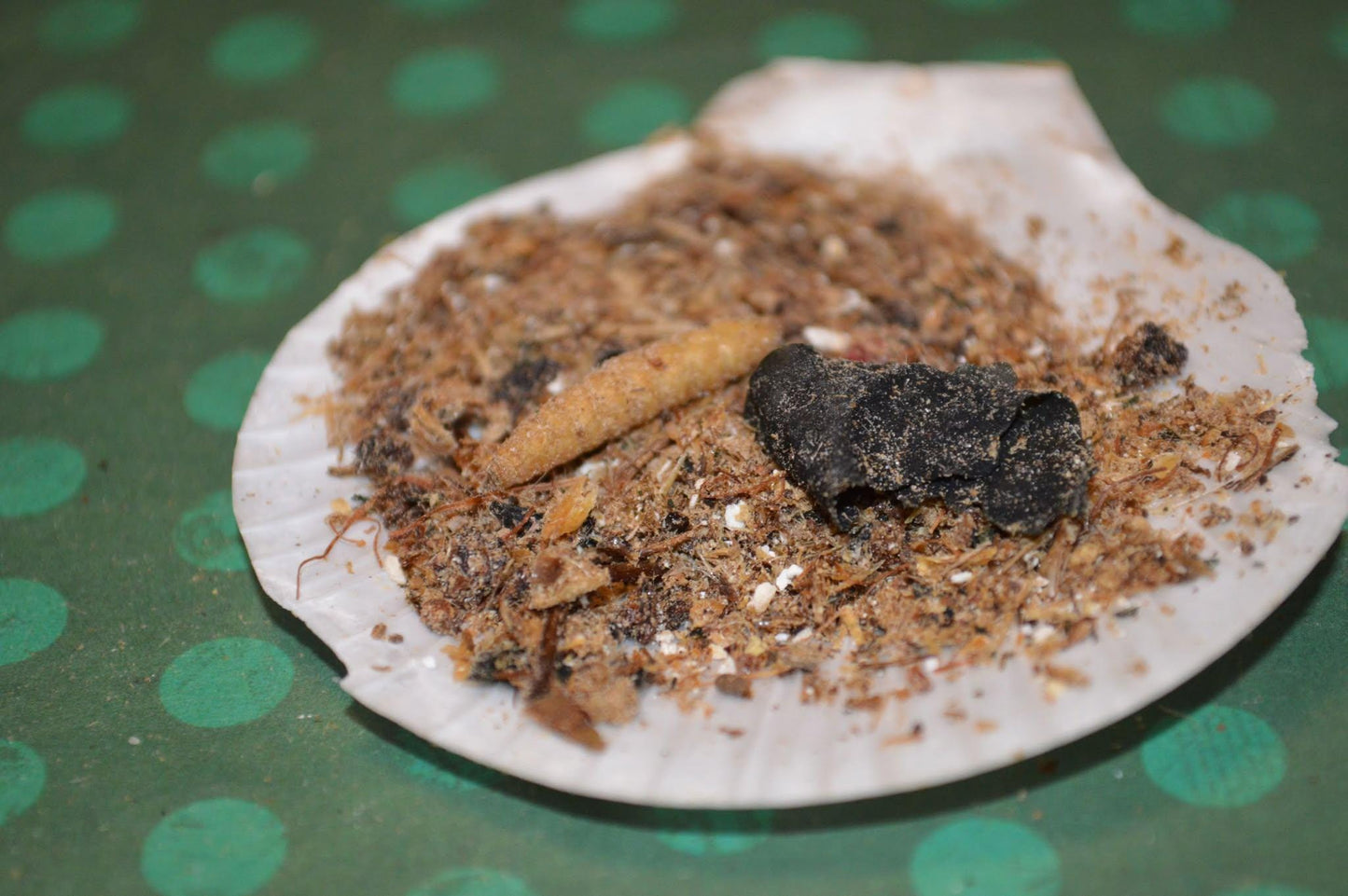 Ostrich and Insect Dinner: Complete Meal - Hermit Crab Food