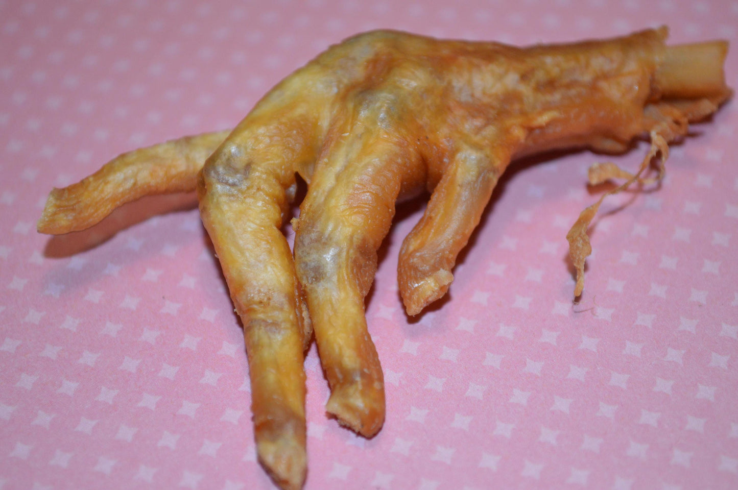 Chicken Feet - Hermit Crab Food