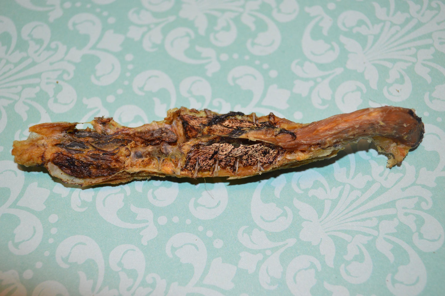 Quail Spines - Hermit Crab Food
