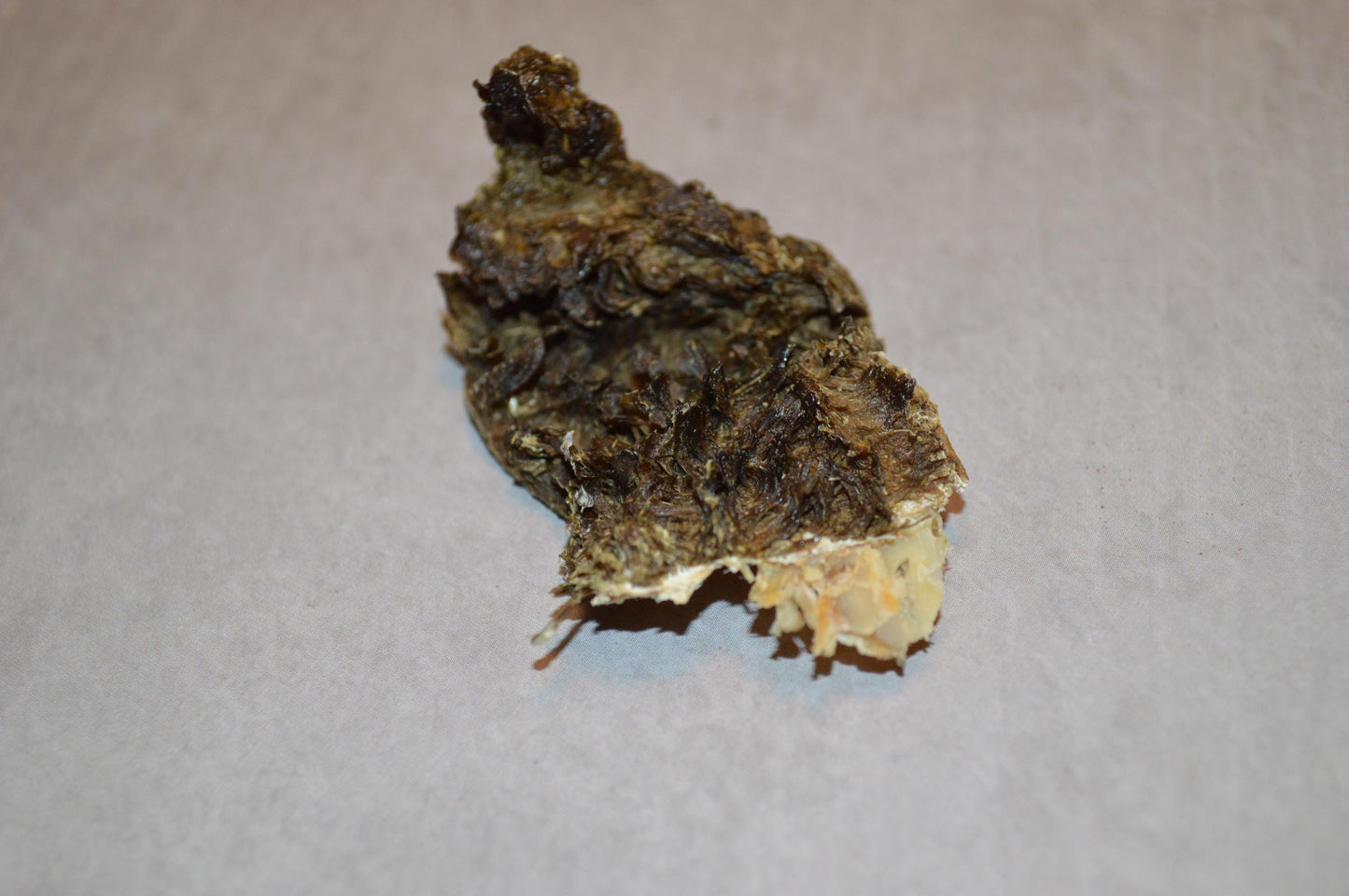 Venison Tripe - Hermit Crab Food
