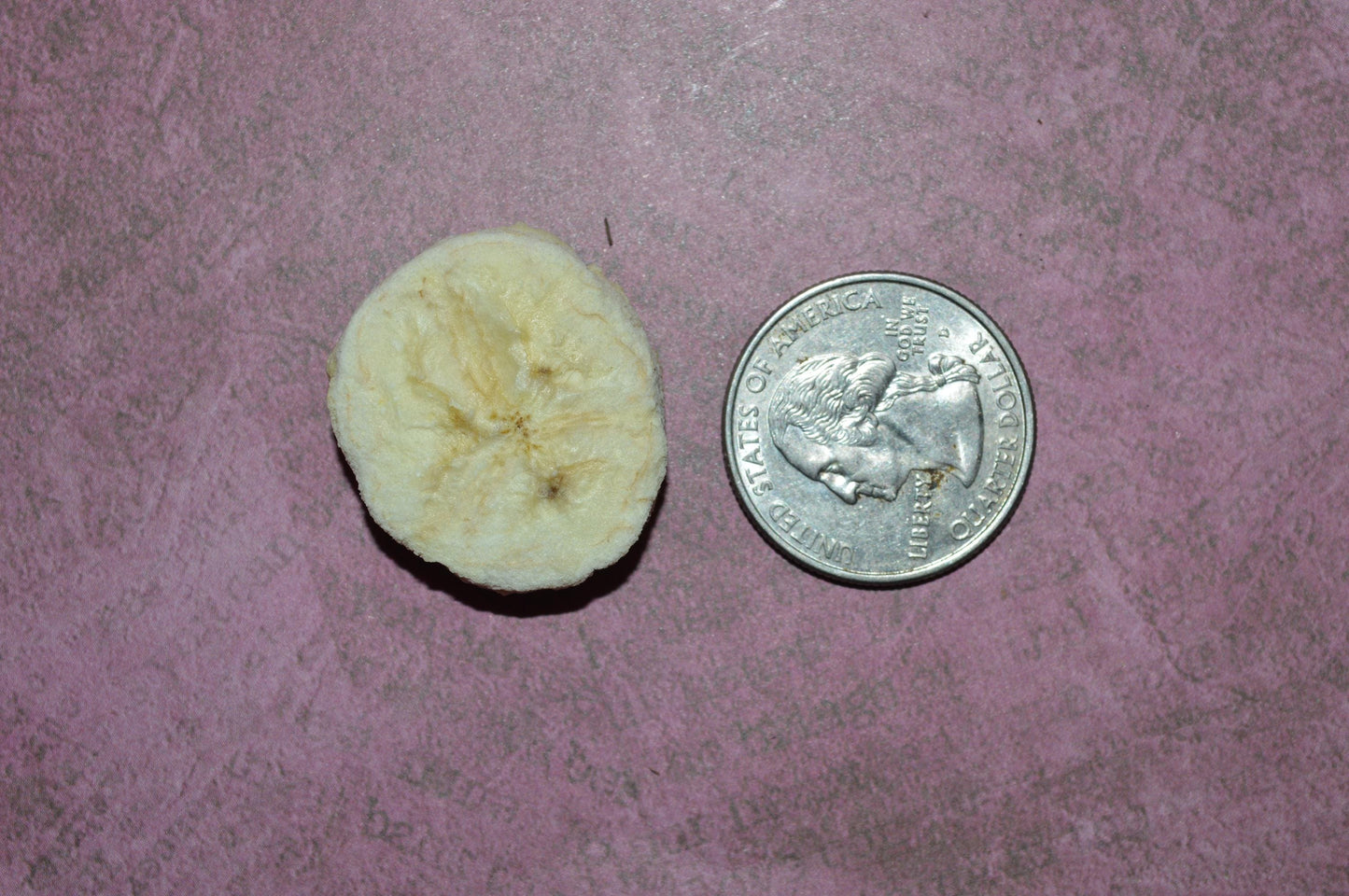 Organic Freeze Dried Banana - Hermit Crab Food