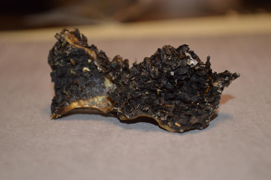 Venison Tripe - Hermit Crab Food