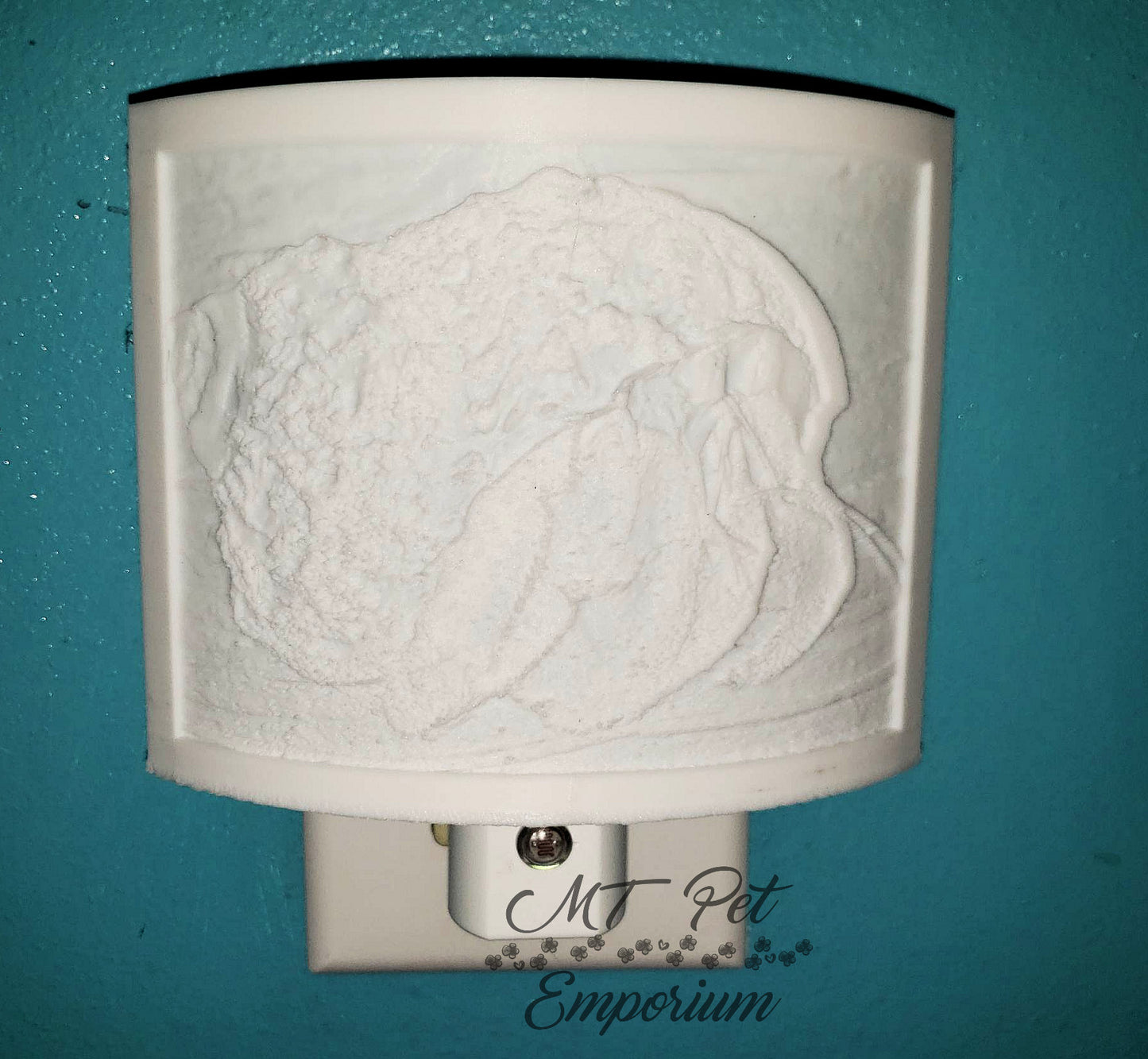 Hermit Crab Night Light 3D printed Lithophane
