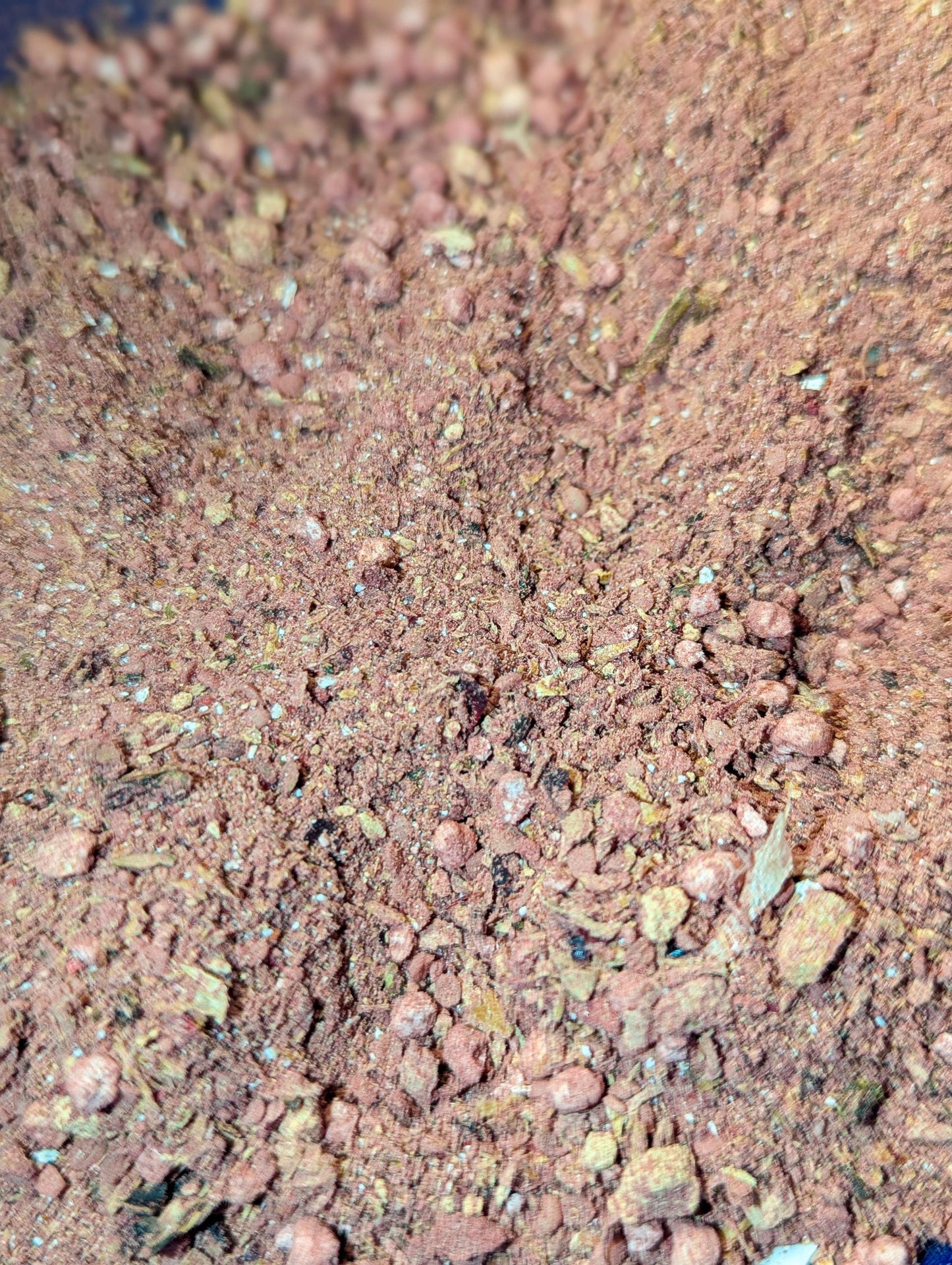 Holiday Feast Meal - Hermit Crab Food