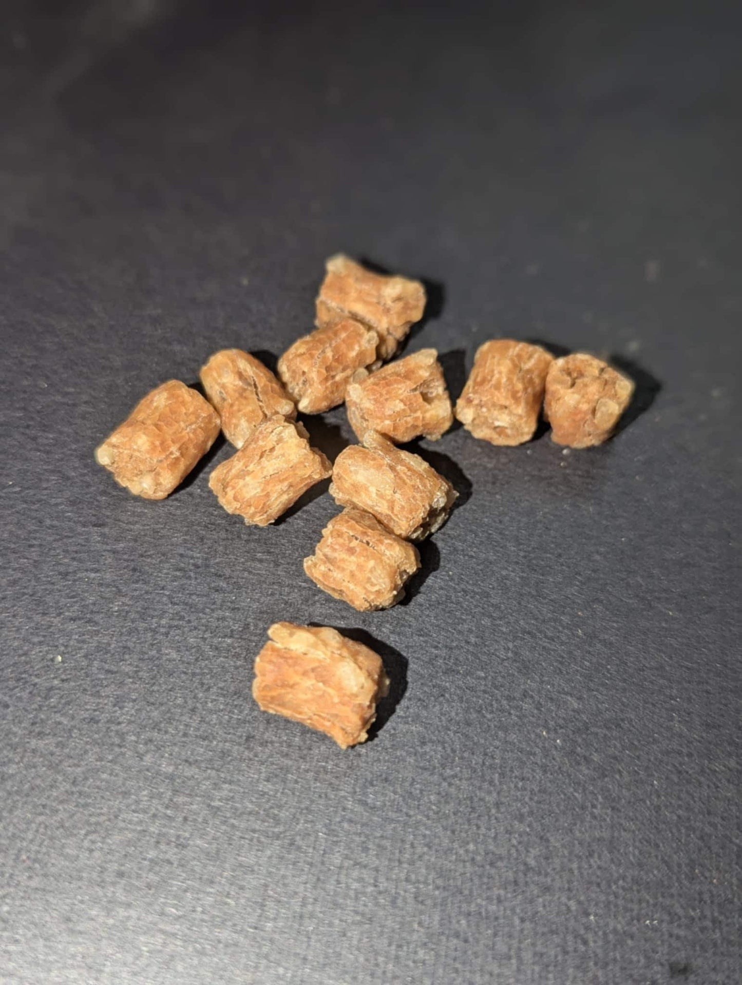 Clam Chowder Bites - Hermit Crab Food