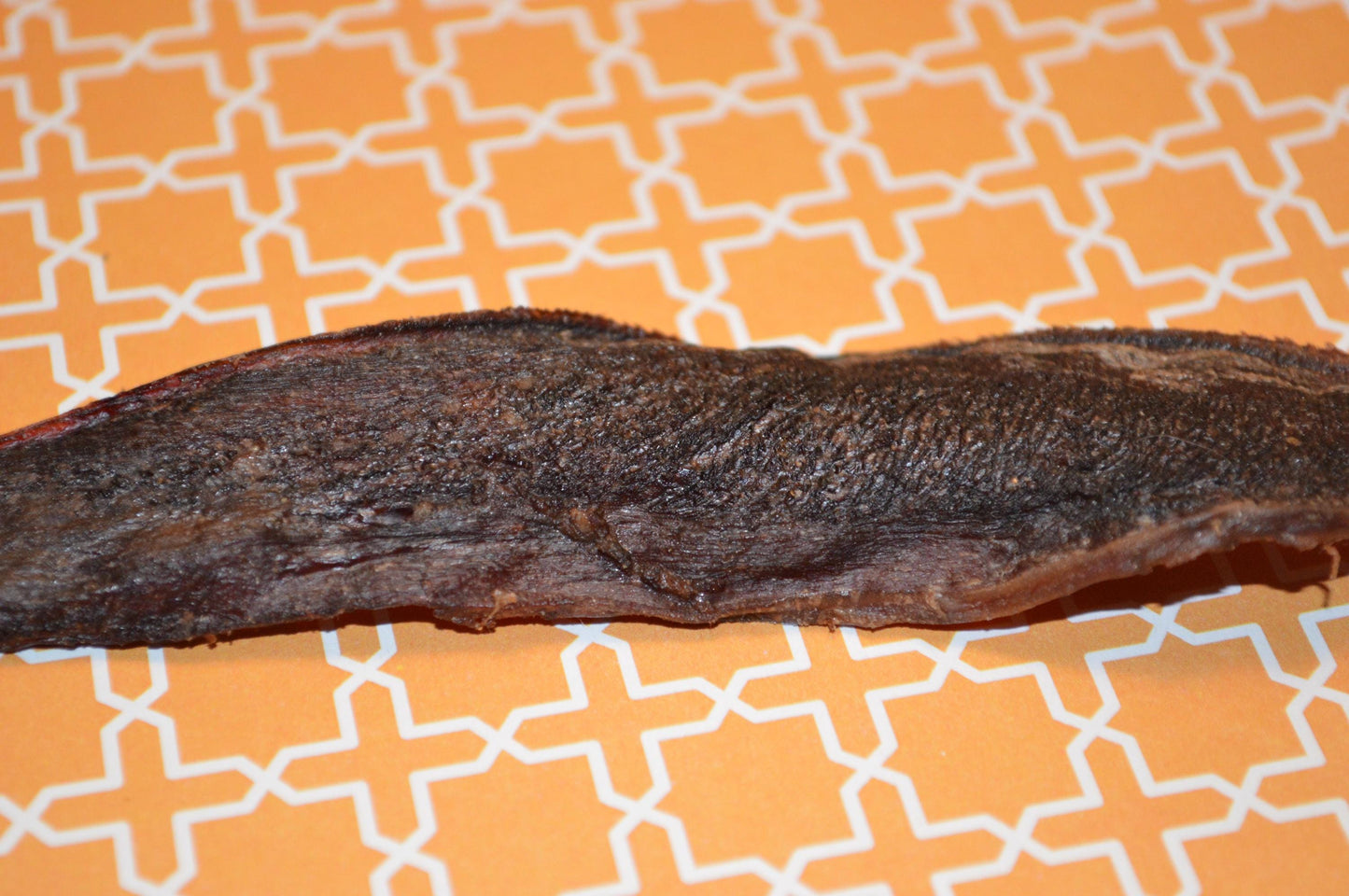 Beef Tongue - Hermit Crab Food
