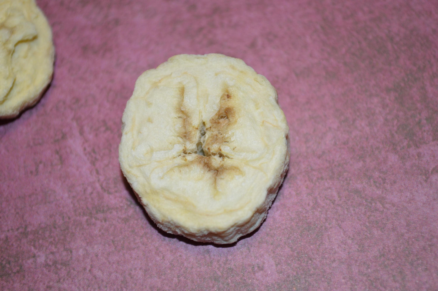 Organic Freeze Dried Banana - Hermit Crab Food