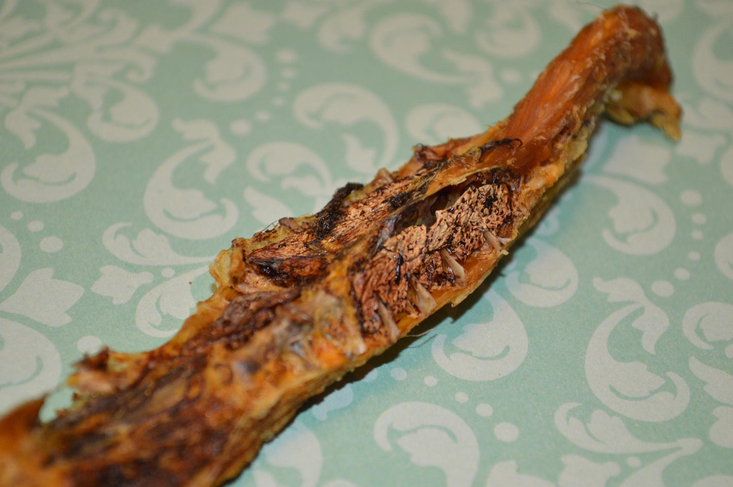 Quail Spines - Hermit Crab Food