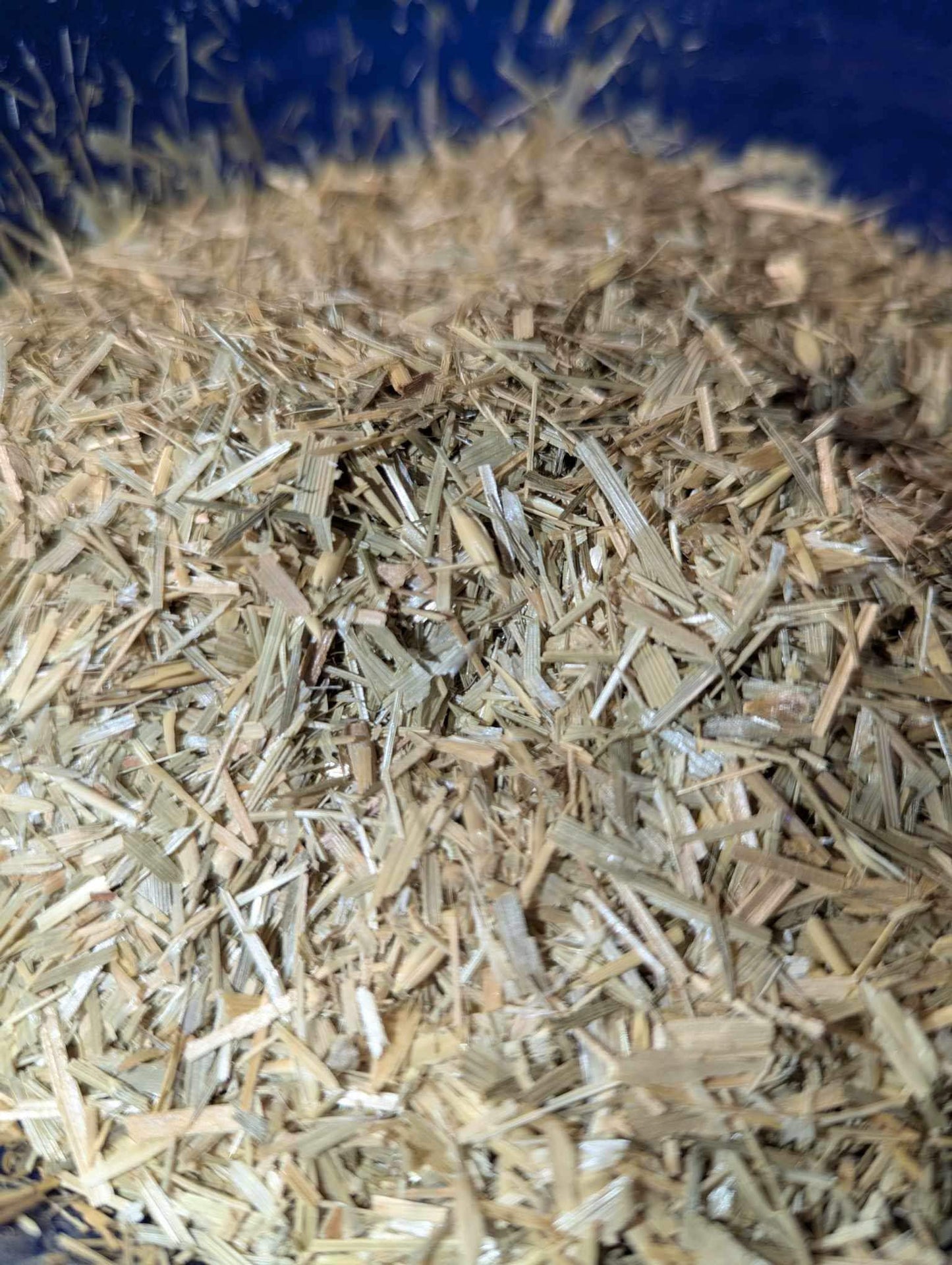 Oat straw - Hermit Crab Food