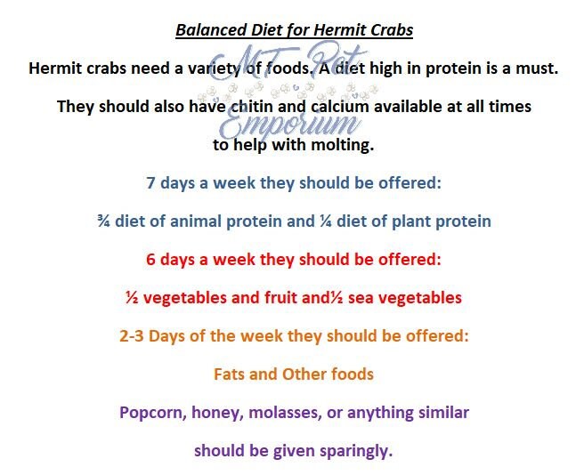 Beeting Hearts - Hermit Crab Food