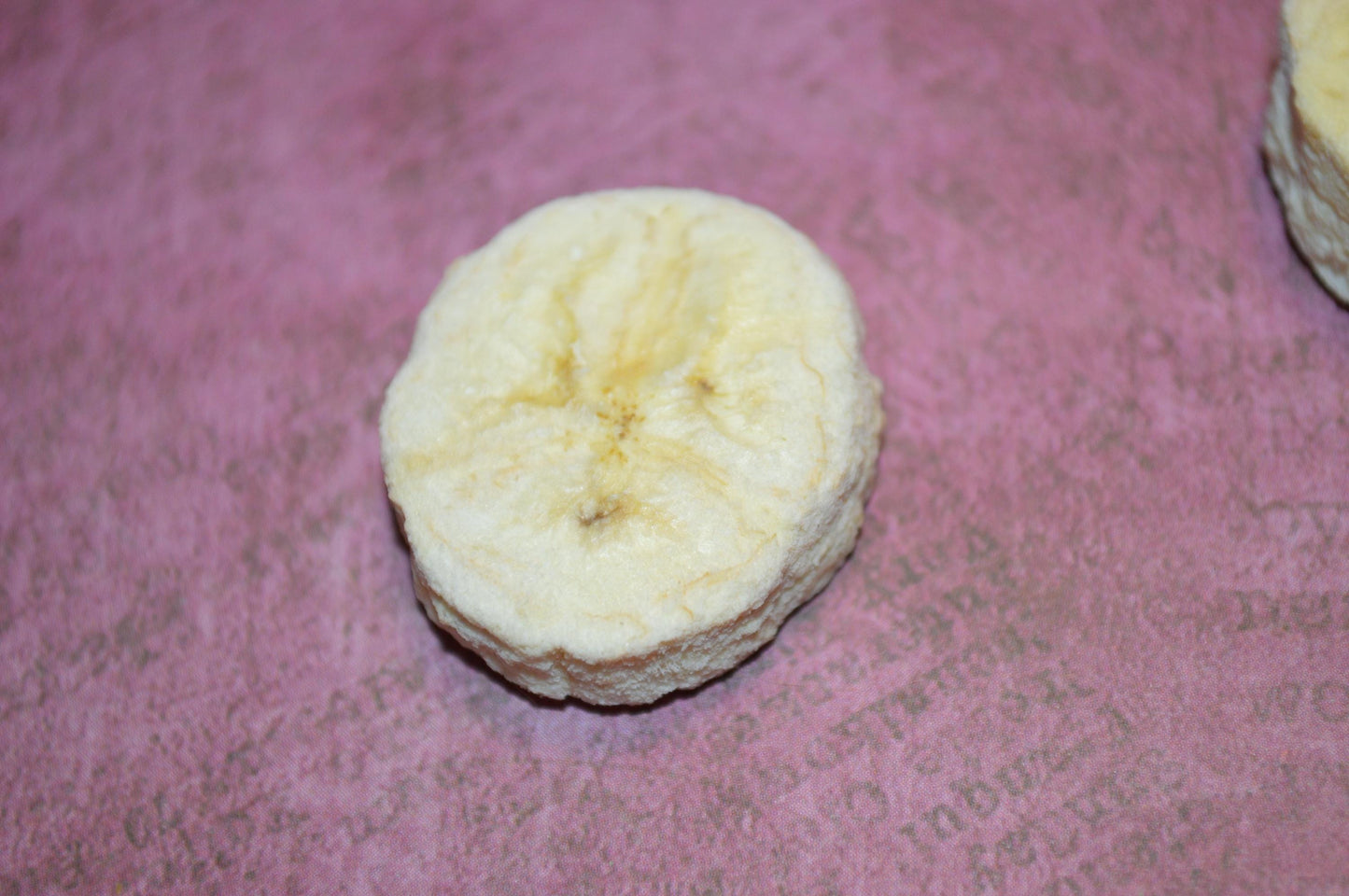 Organic Freeze Dried Banana - Hermit Crab Food