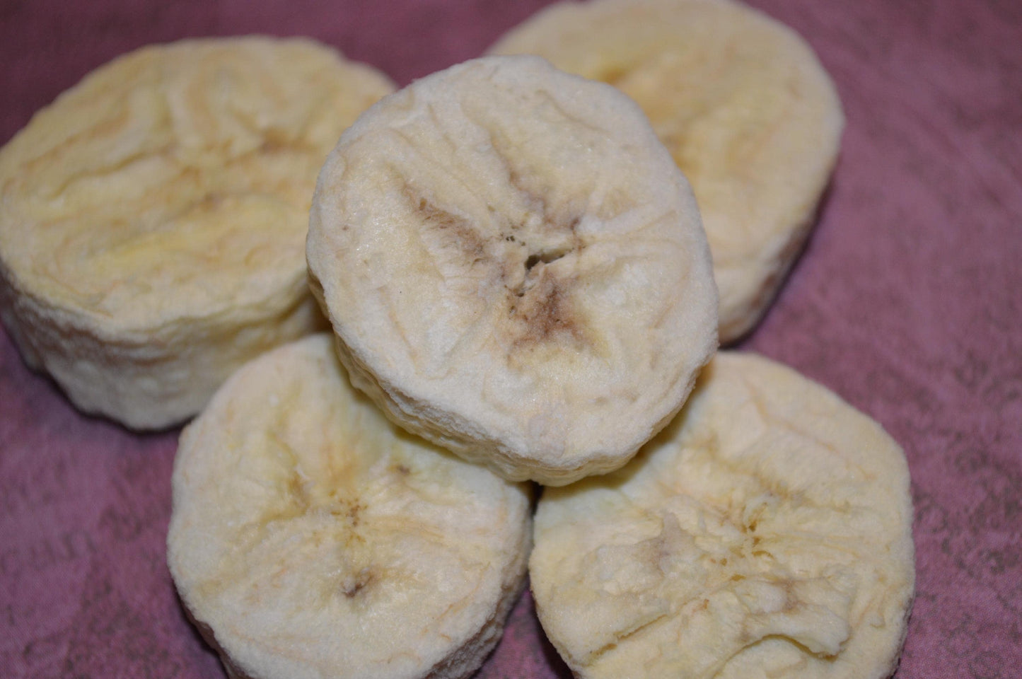 Organic Freeze Dried Banana - Hermit Crab Food