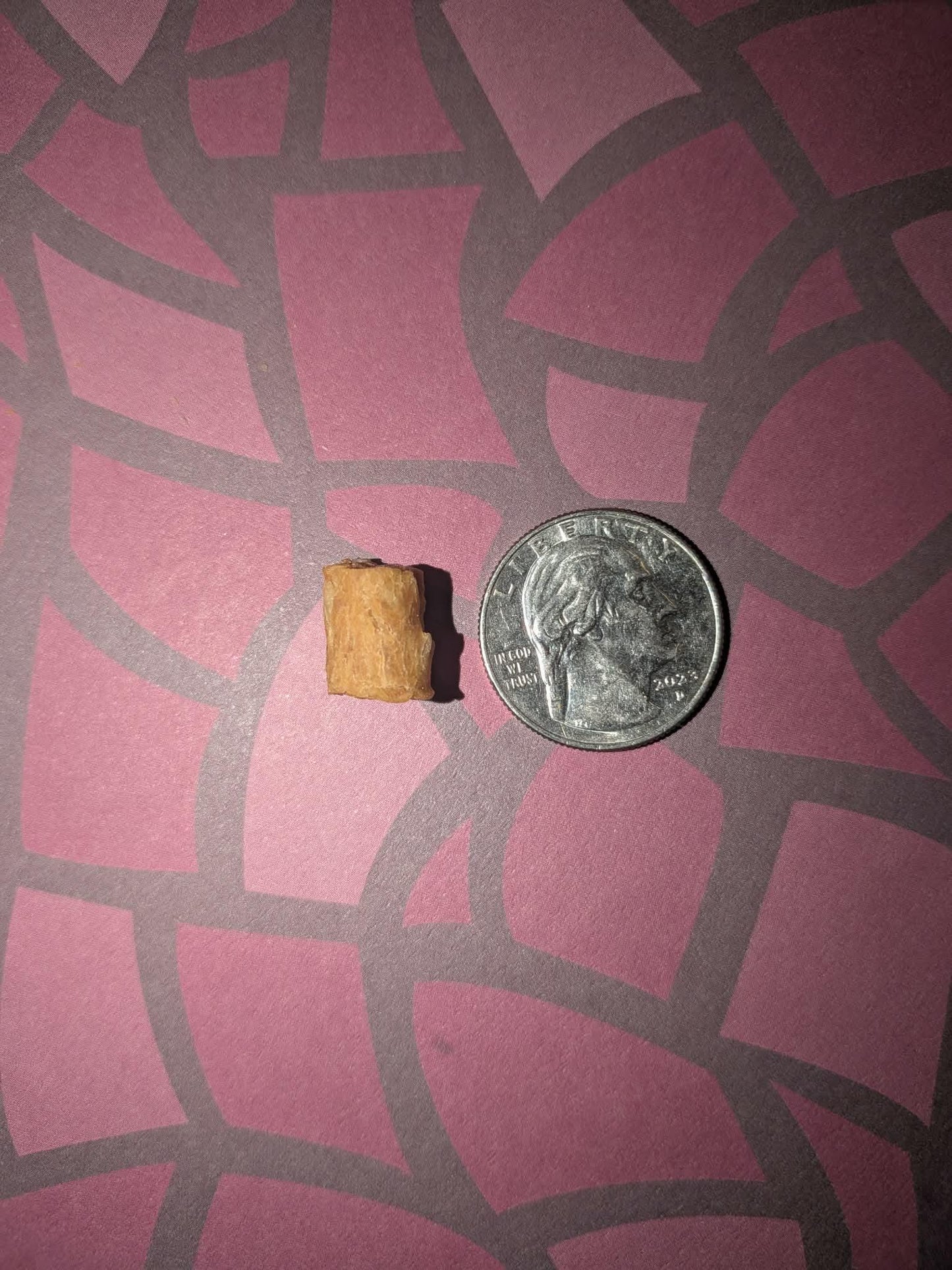 Salmon Bites - Hermit Crab Food