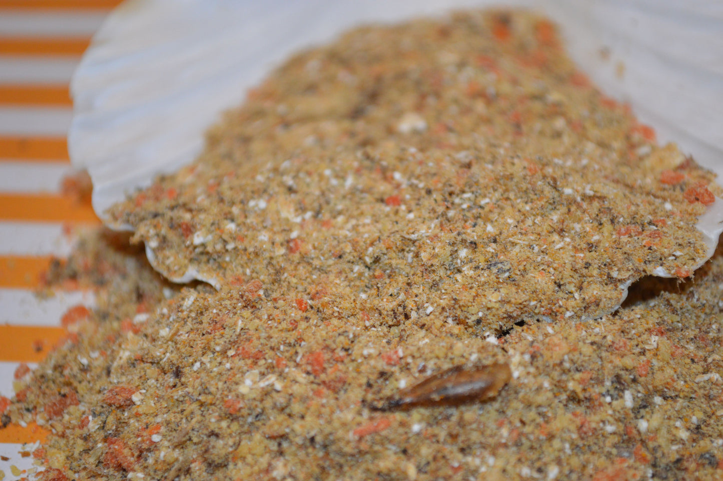 Carrot Cake Cricket Crumble - Hermit Crab Food
