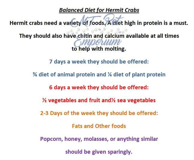 Beeting Hearts - Hermit Crab Food