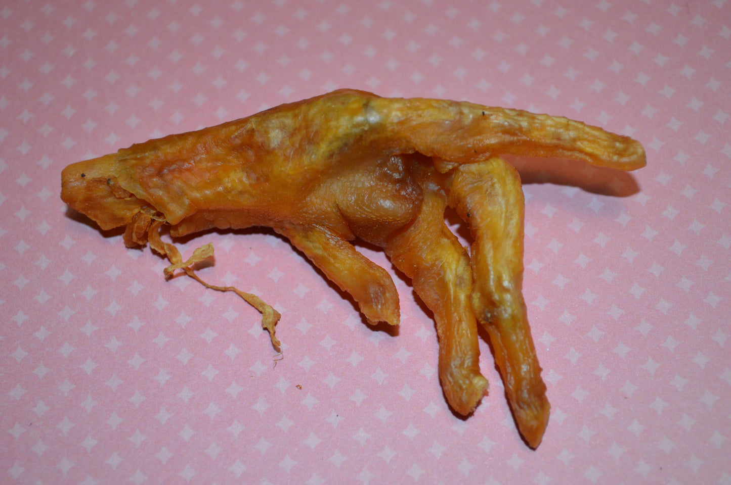 Chicken Feet - Hermit Crab Food