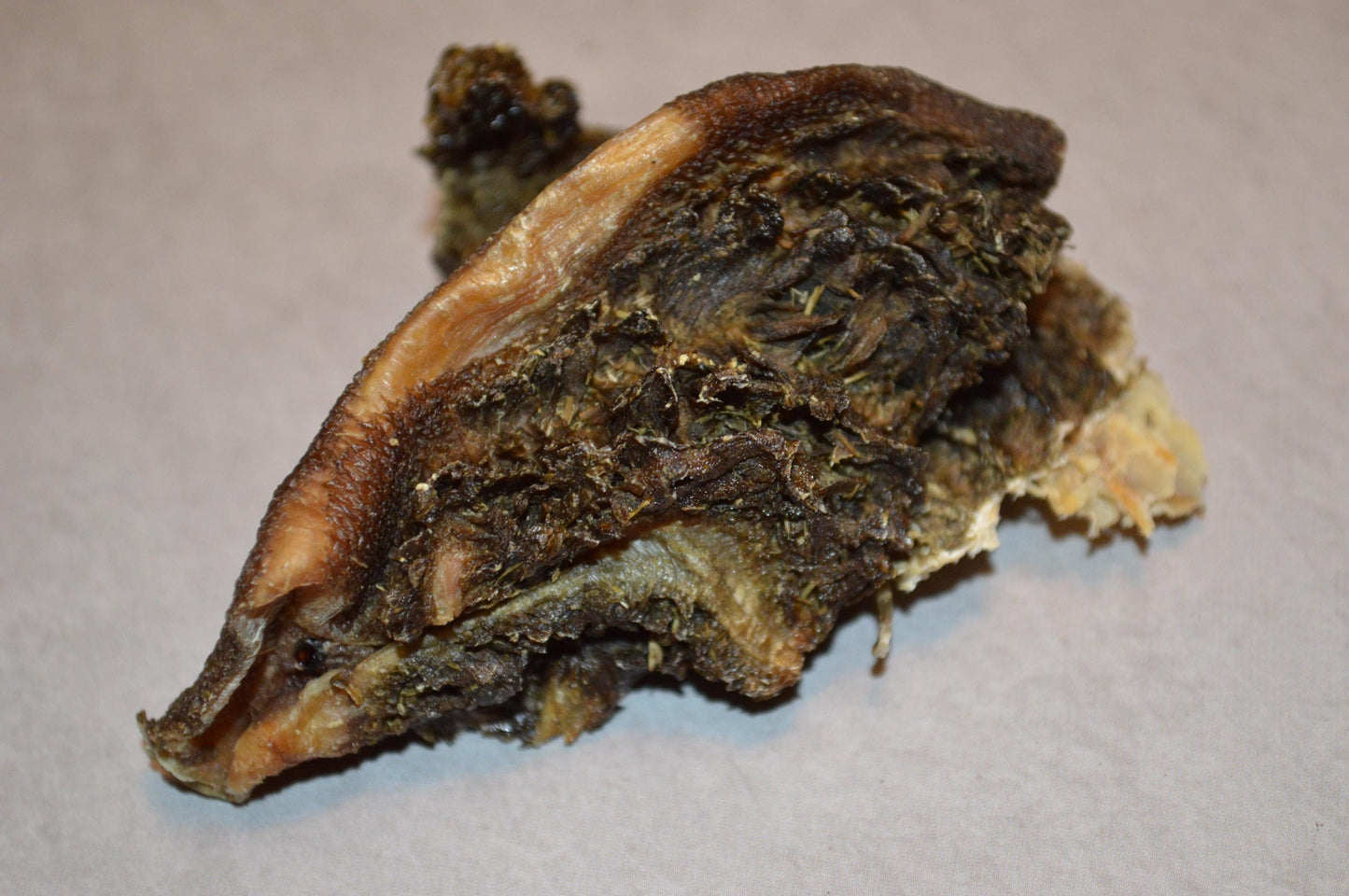 Venison Tripe - Hermit Crab Food