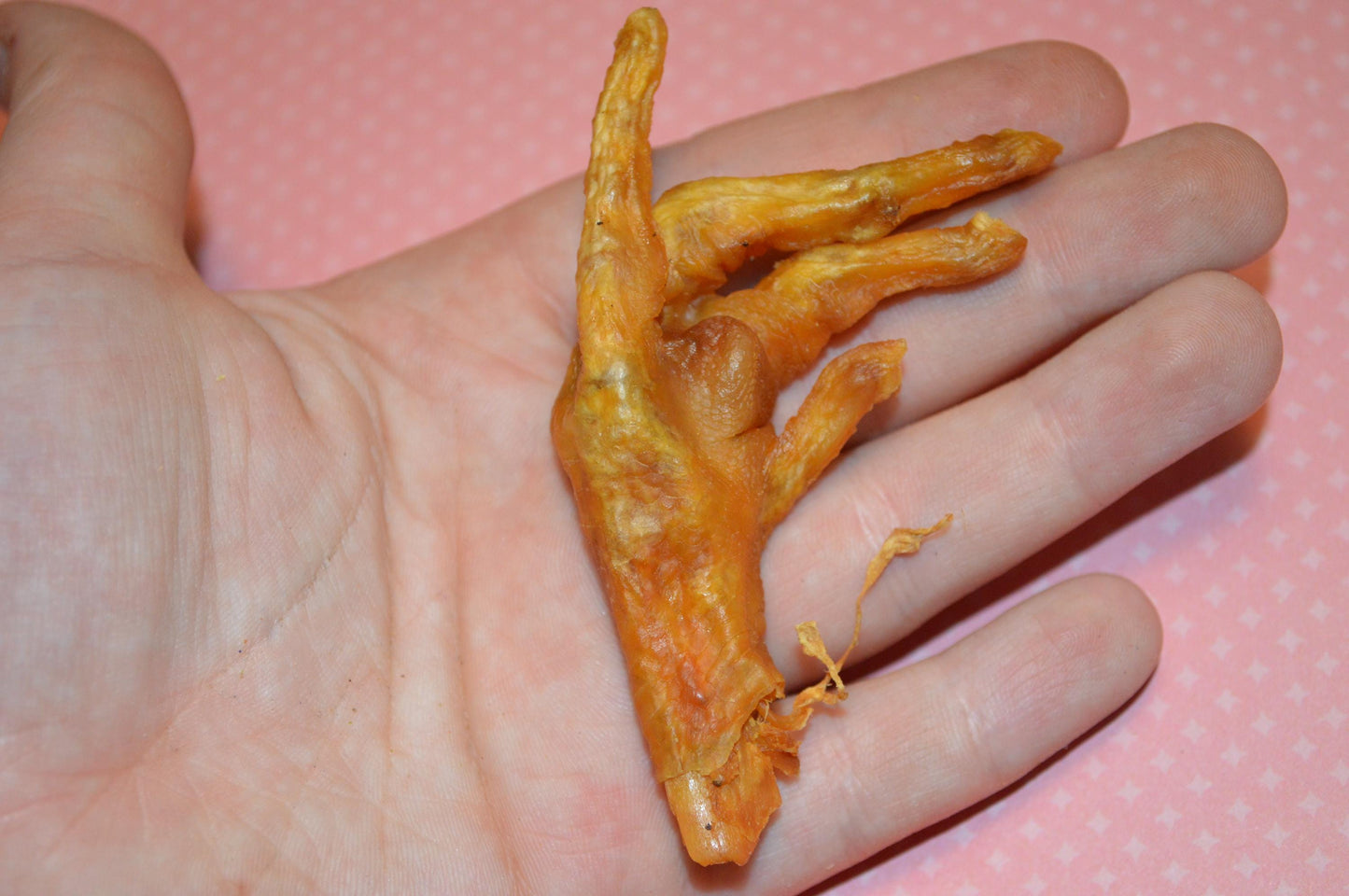 Chicken Feet - Hermit Crab Food