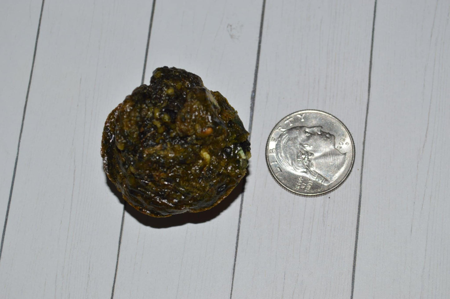 Zombie Bites - Hermit Crab Food
