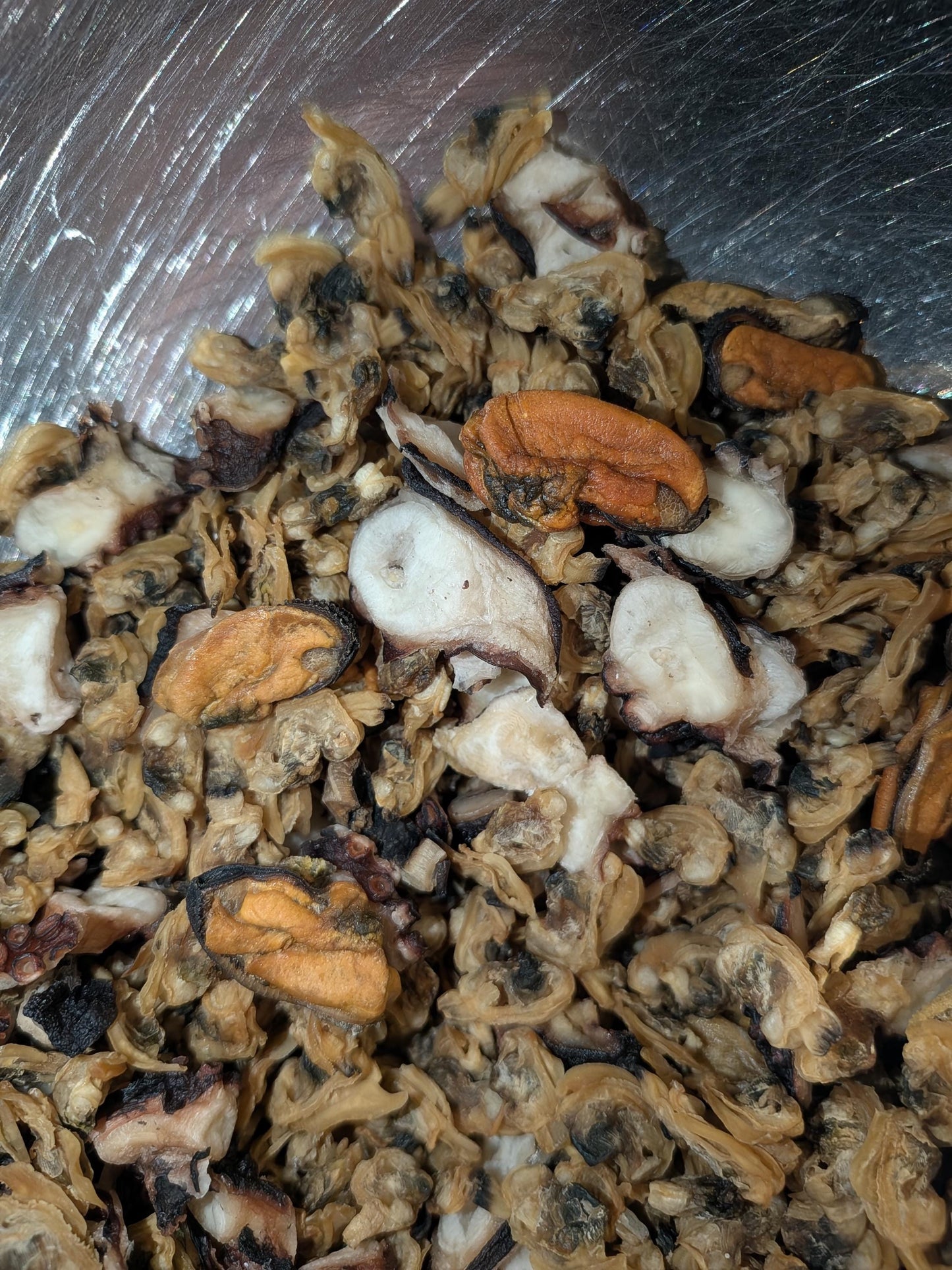 Mollusk dinner - Hermit Crab Food