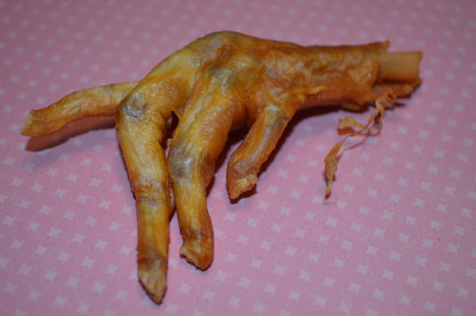 Chicken Feet - Hermit Crab Food