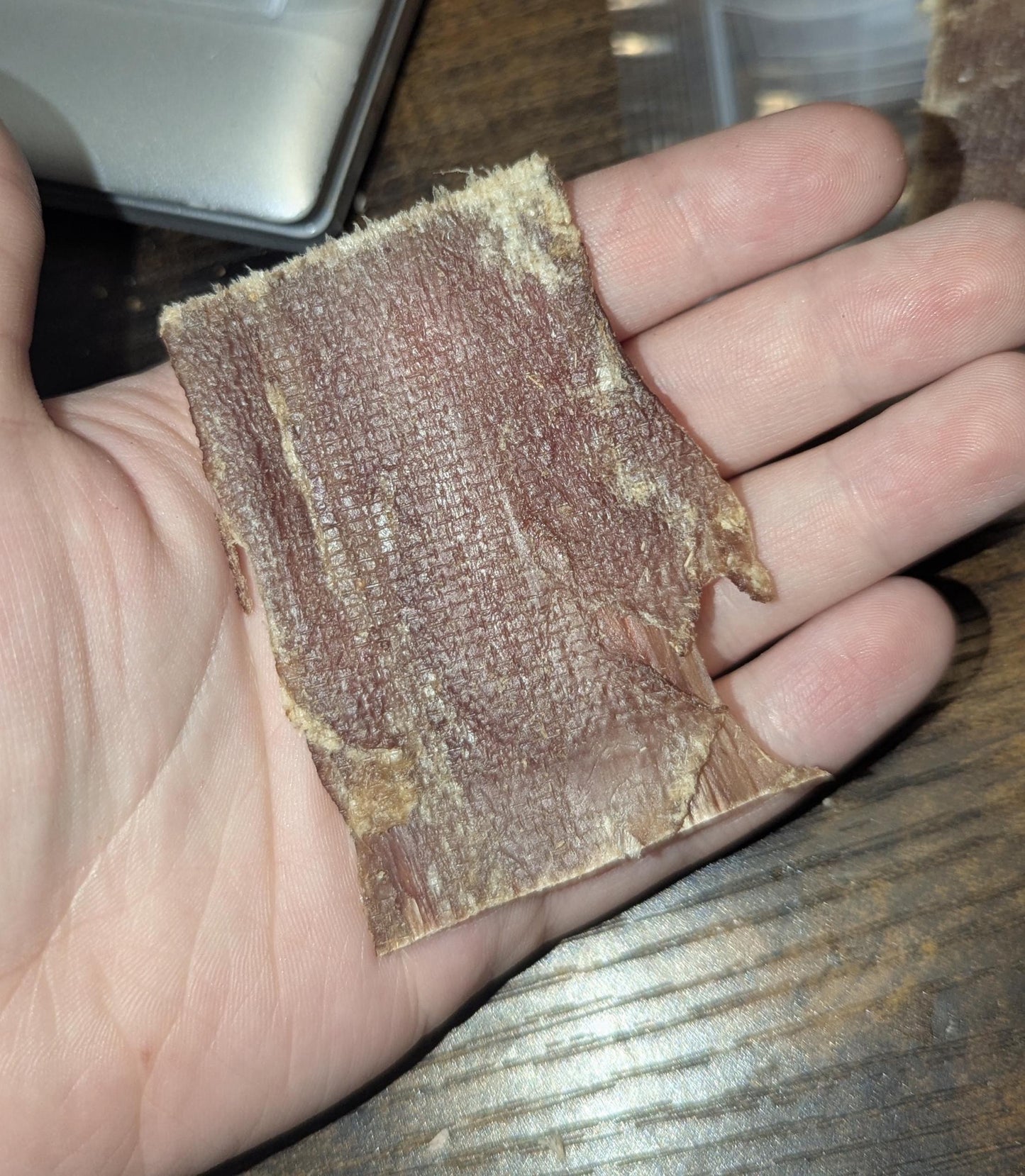 Beef Gullet - Hermit Crab Food