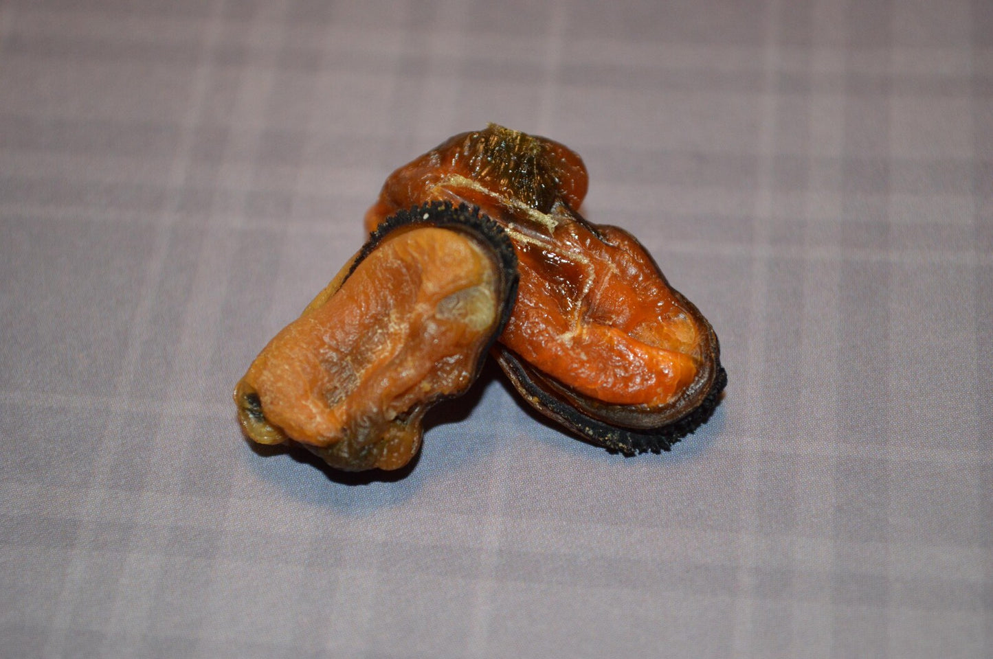 Blue Mussel - Hermit Crab Food