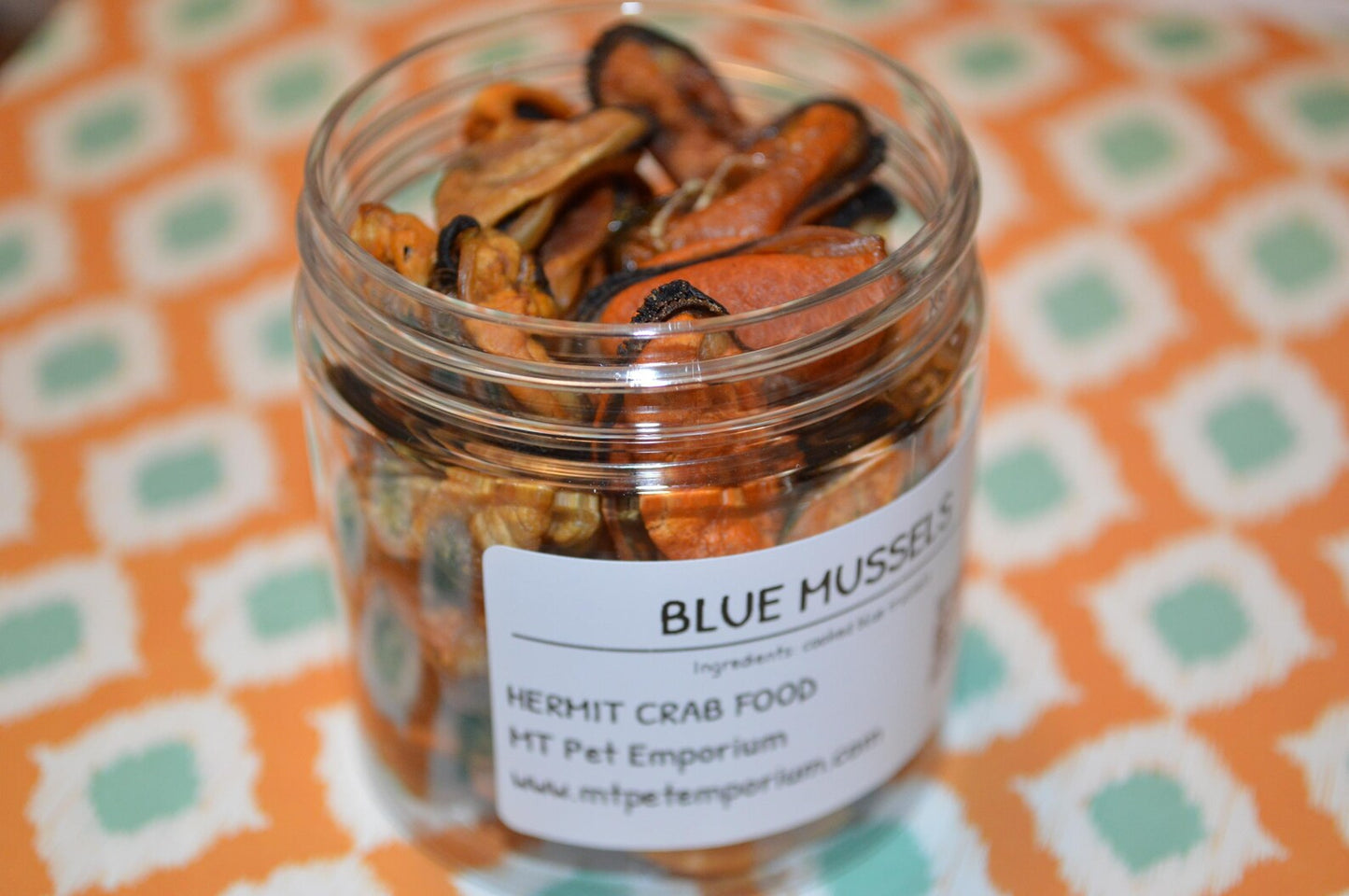 Blue Mussel - Hermit Crab Food