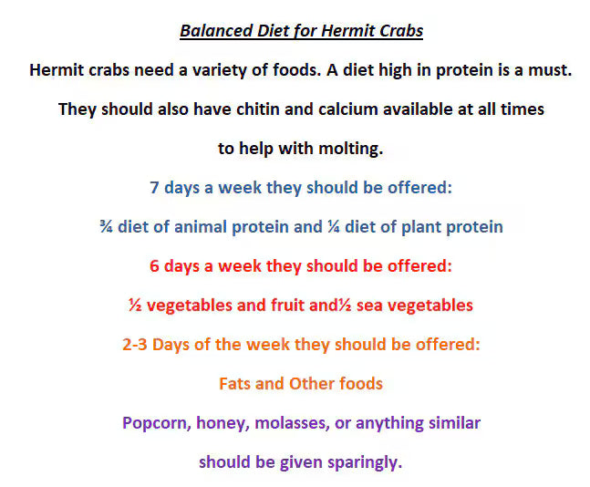 Goat and Oat Dinner - Hermit Crab Food