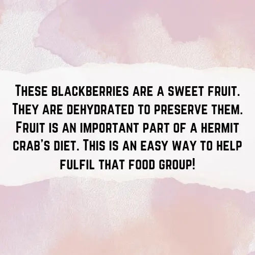 Blackberries - Hermit Crab Food