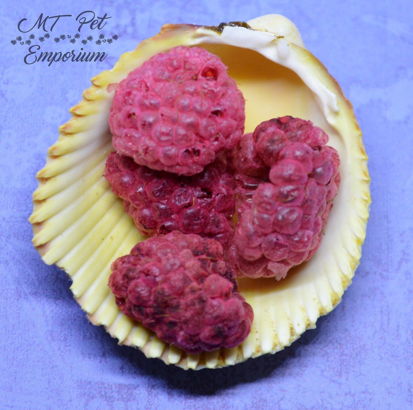 Raspberries - Hermit Crab Food