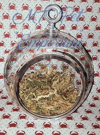 Moss Pit with Moss and Moss Pit Additive- Hermit Crab Food