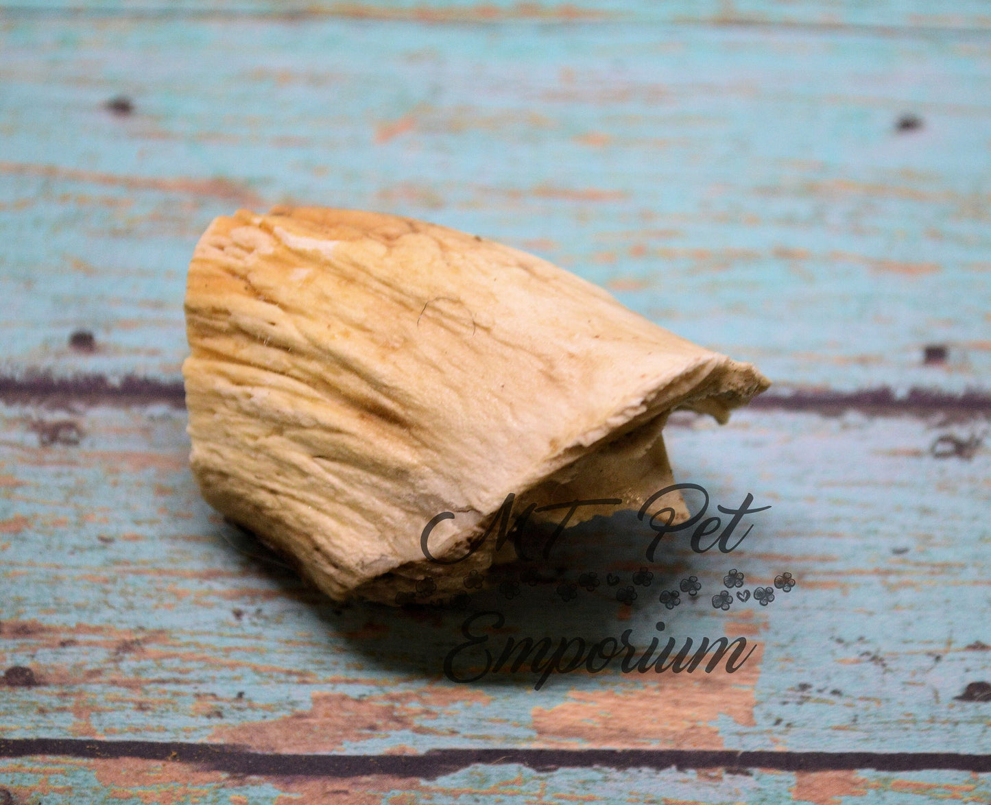 Lamb Horn Marrow Chunk- Hermit Crab Food
