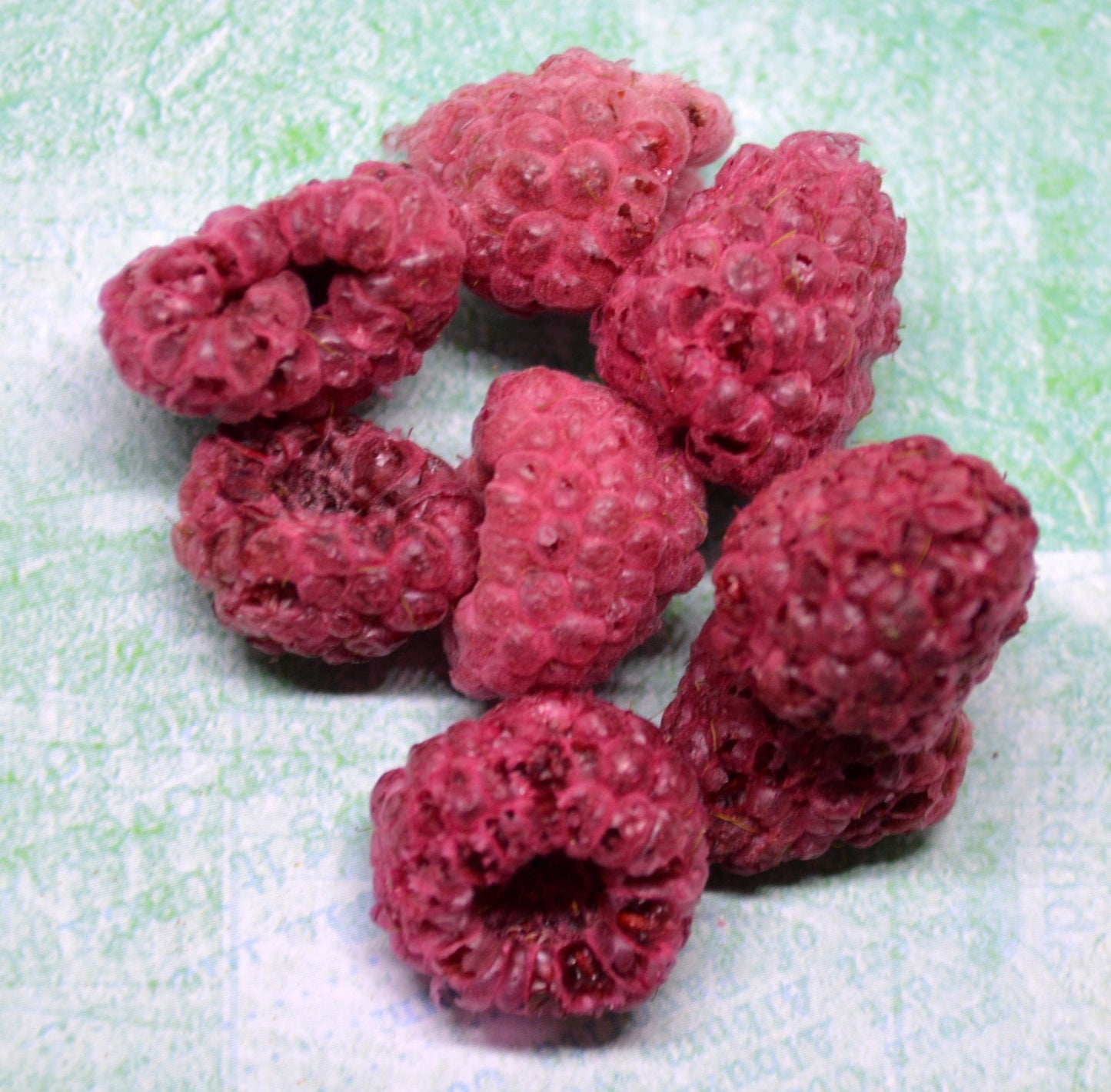 Raspberries - Hermit Crab Food