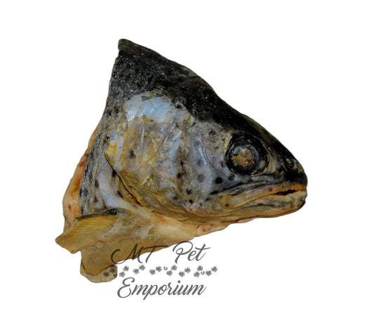 Trout Head - Hermit Crab Food