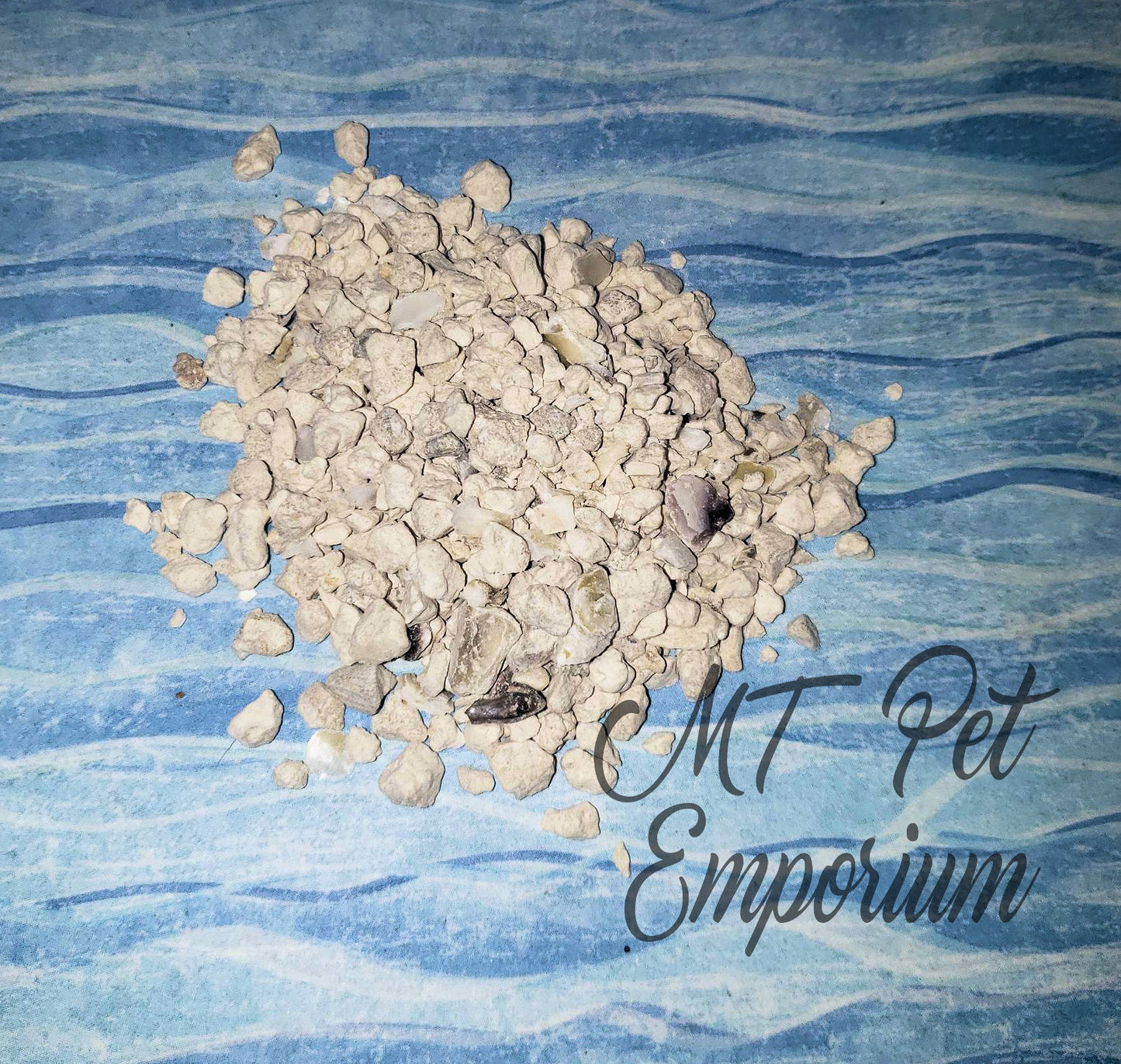 Oyster Shells - Hermit Crab Food