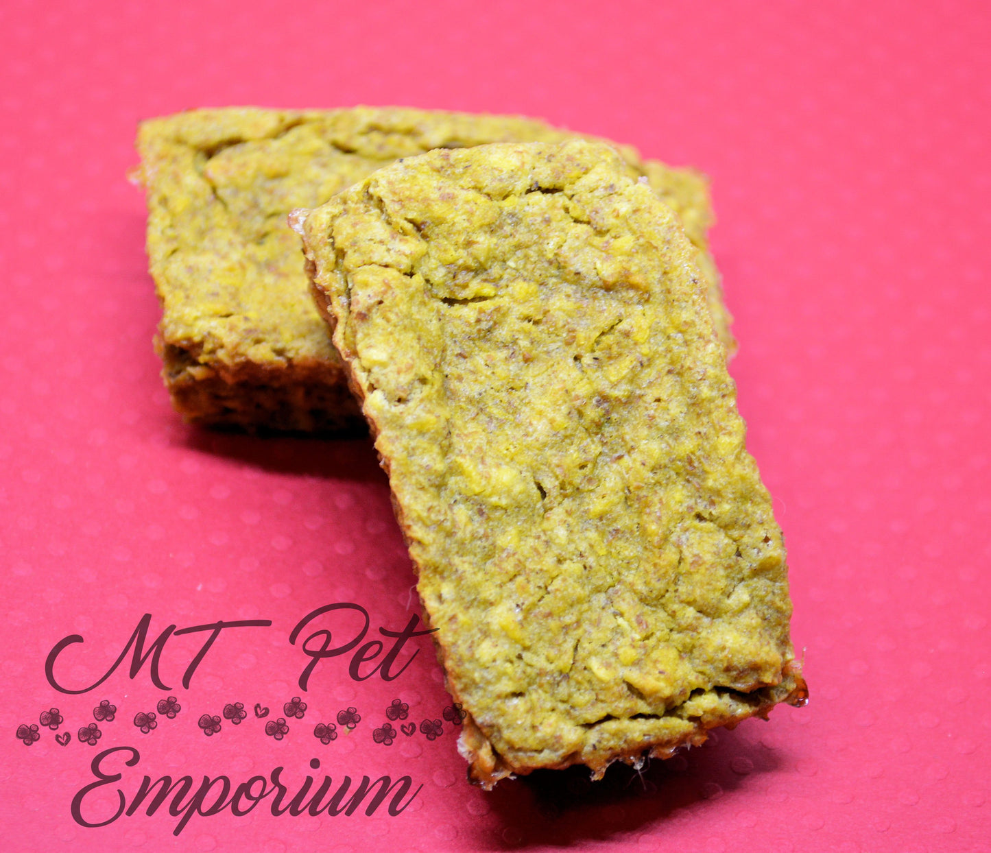 Pumpkin Bars - Hermit Crab Food