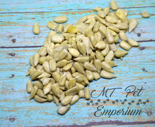 Sunflower Seeds - Hermit Crab Food