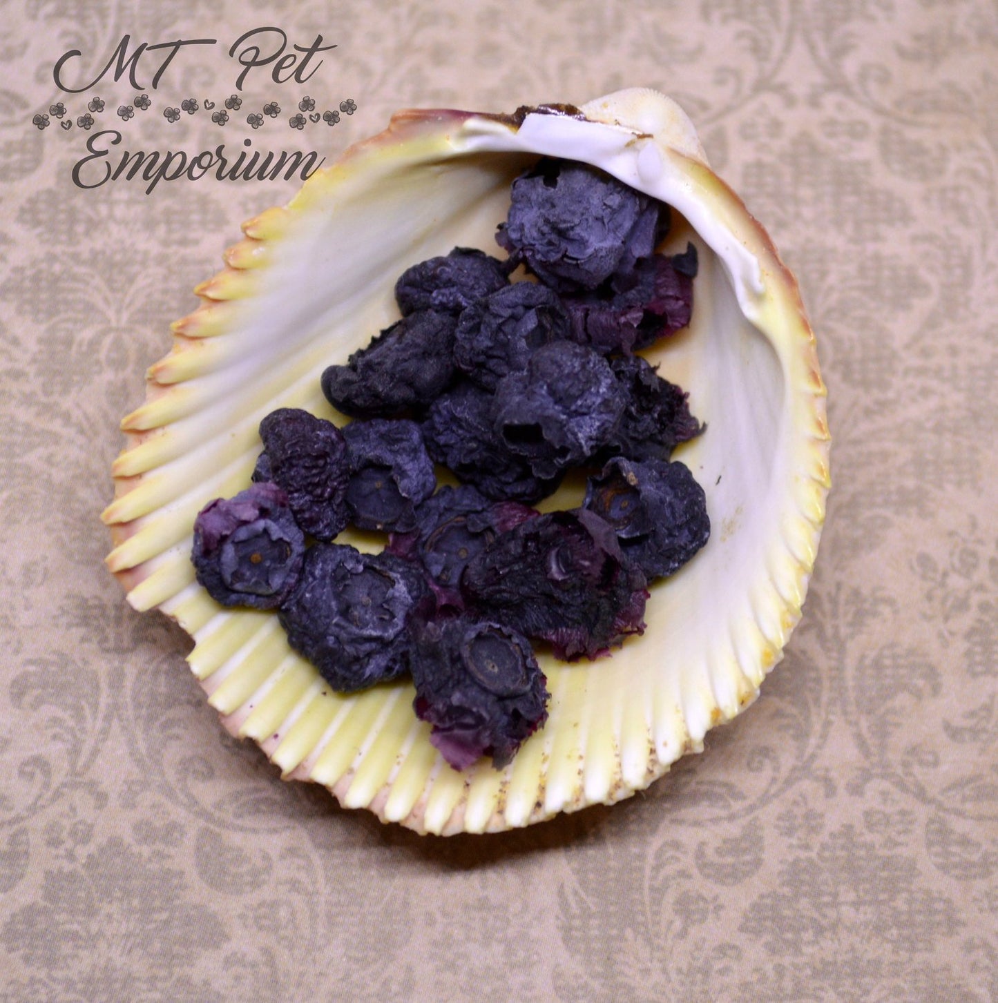 Blueberries - Hermit Crab Food