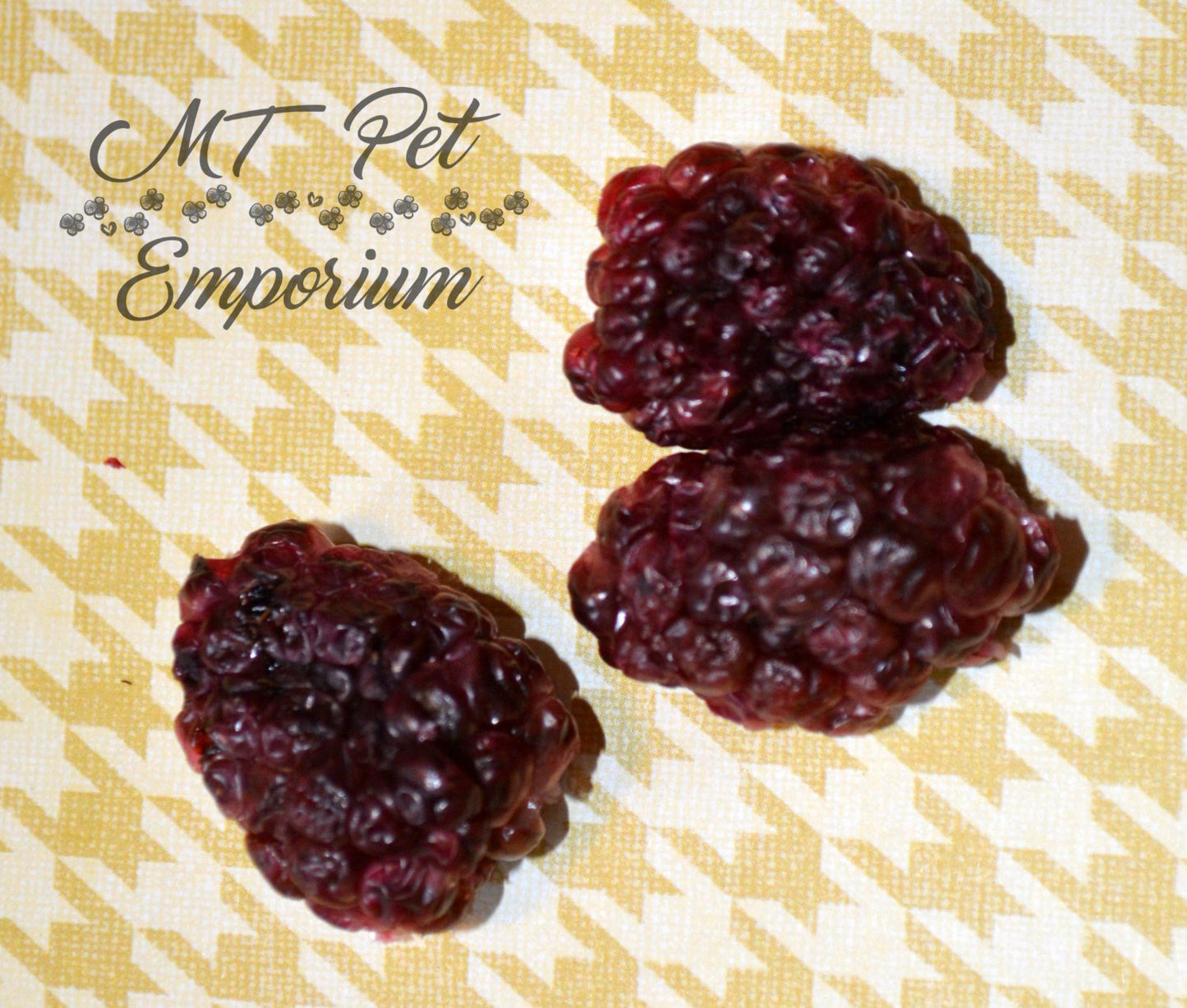 Blackberries - Hermit Crab Food