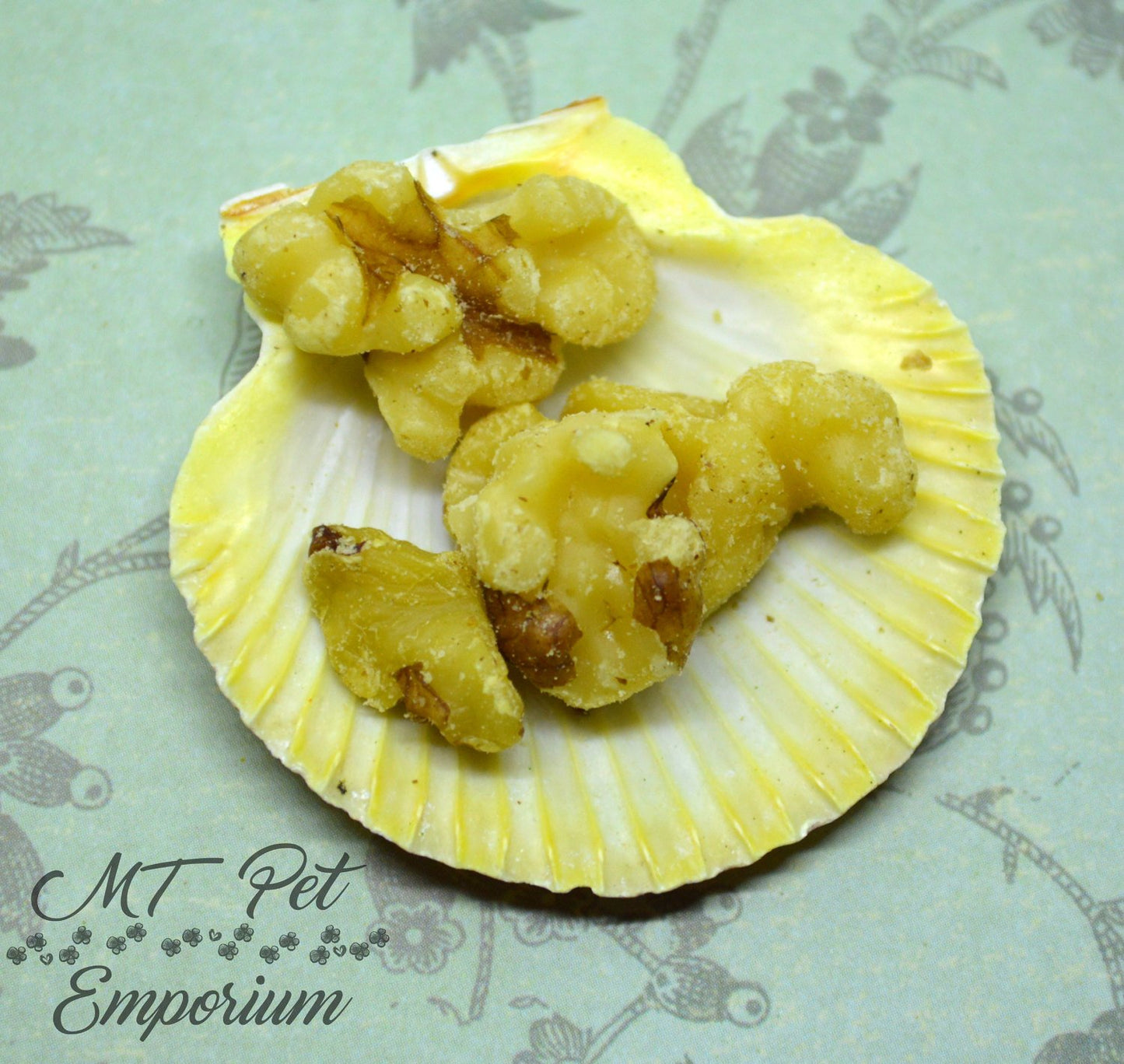 Walnut Pieces - Hermit Crab Food