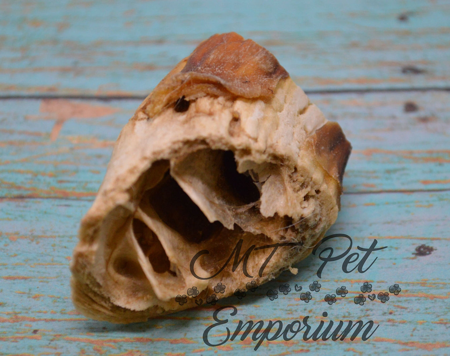 Lamb Horn Marrow Chunk- Hermit Crab Food