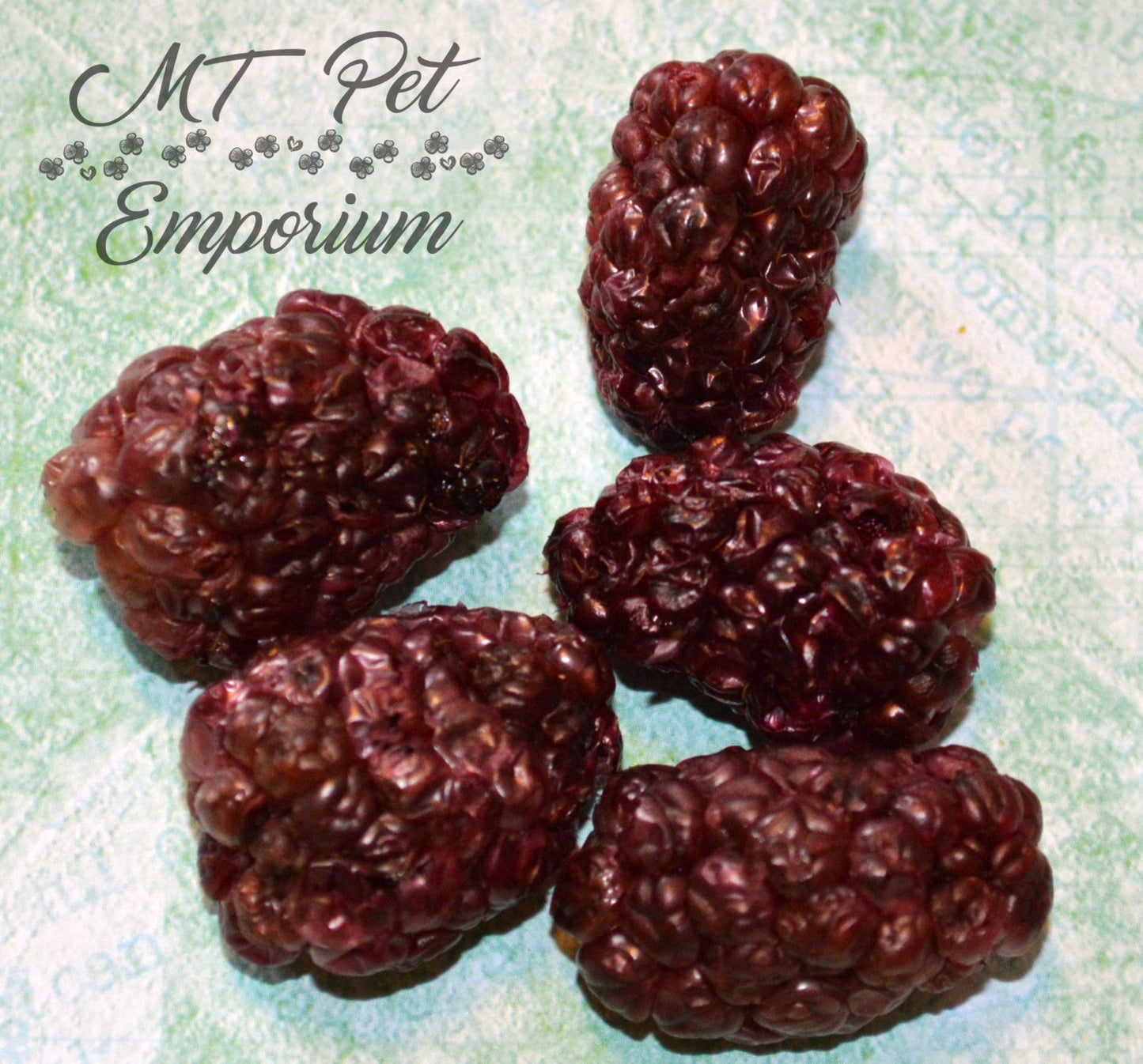 Blackberries - Hermit Crab Food