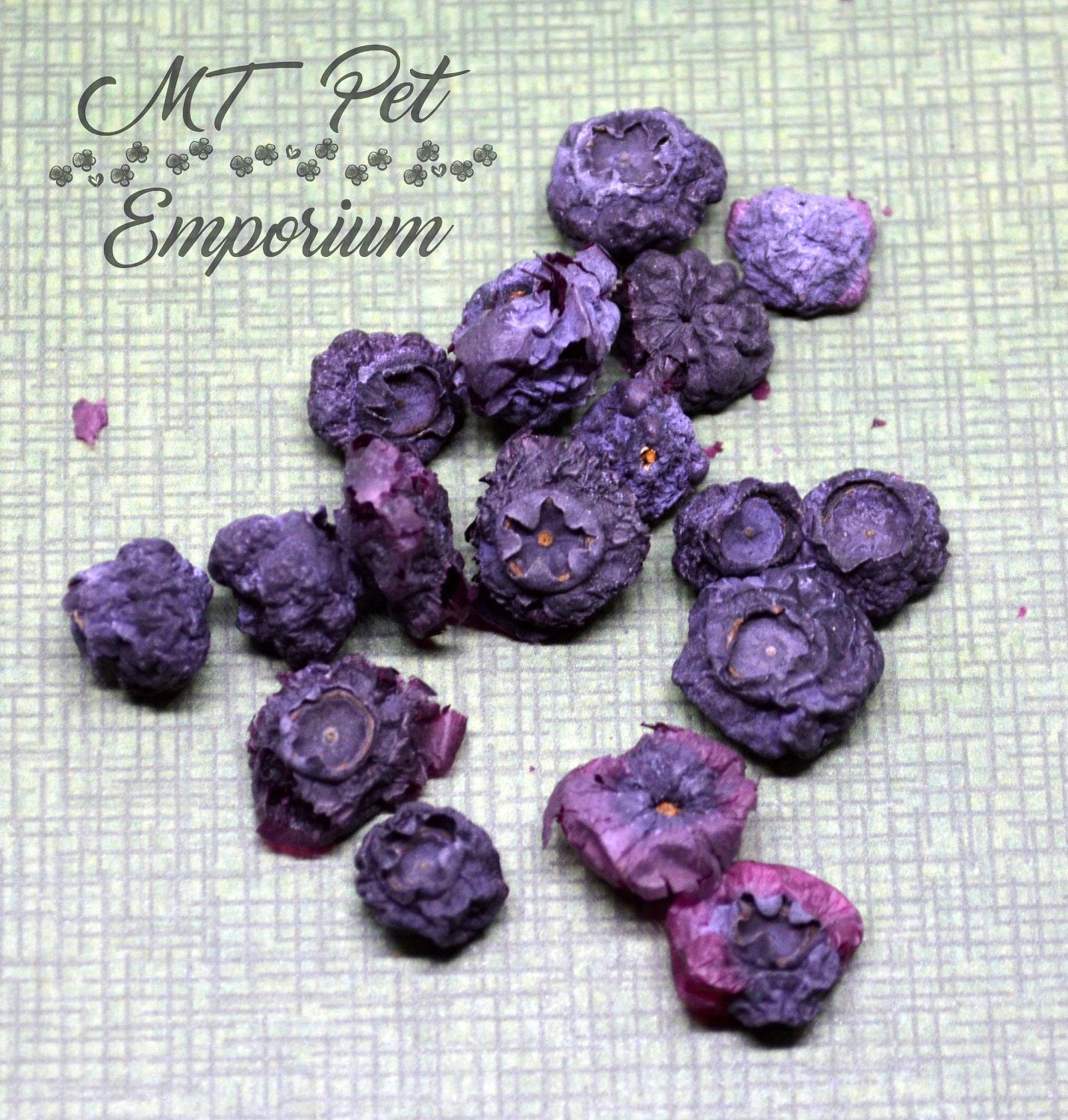 Blueberries - Hermit Crab Food