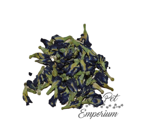 Butterfly Pea Flowers - Hermit Crab Food