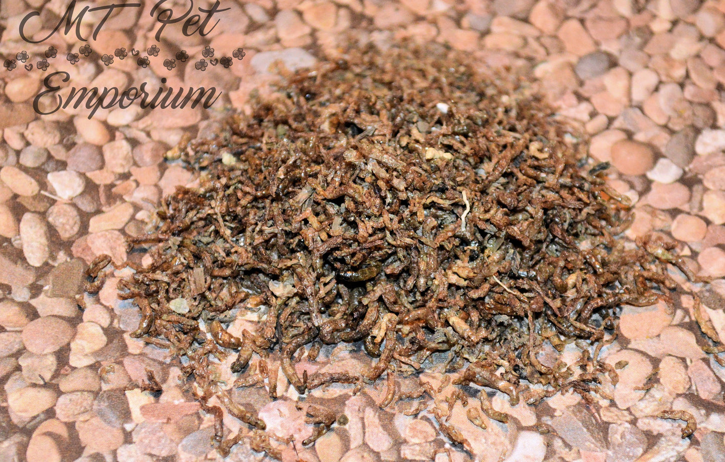 Blood Worms - Hermit Crab Food
