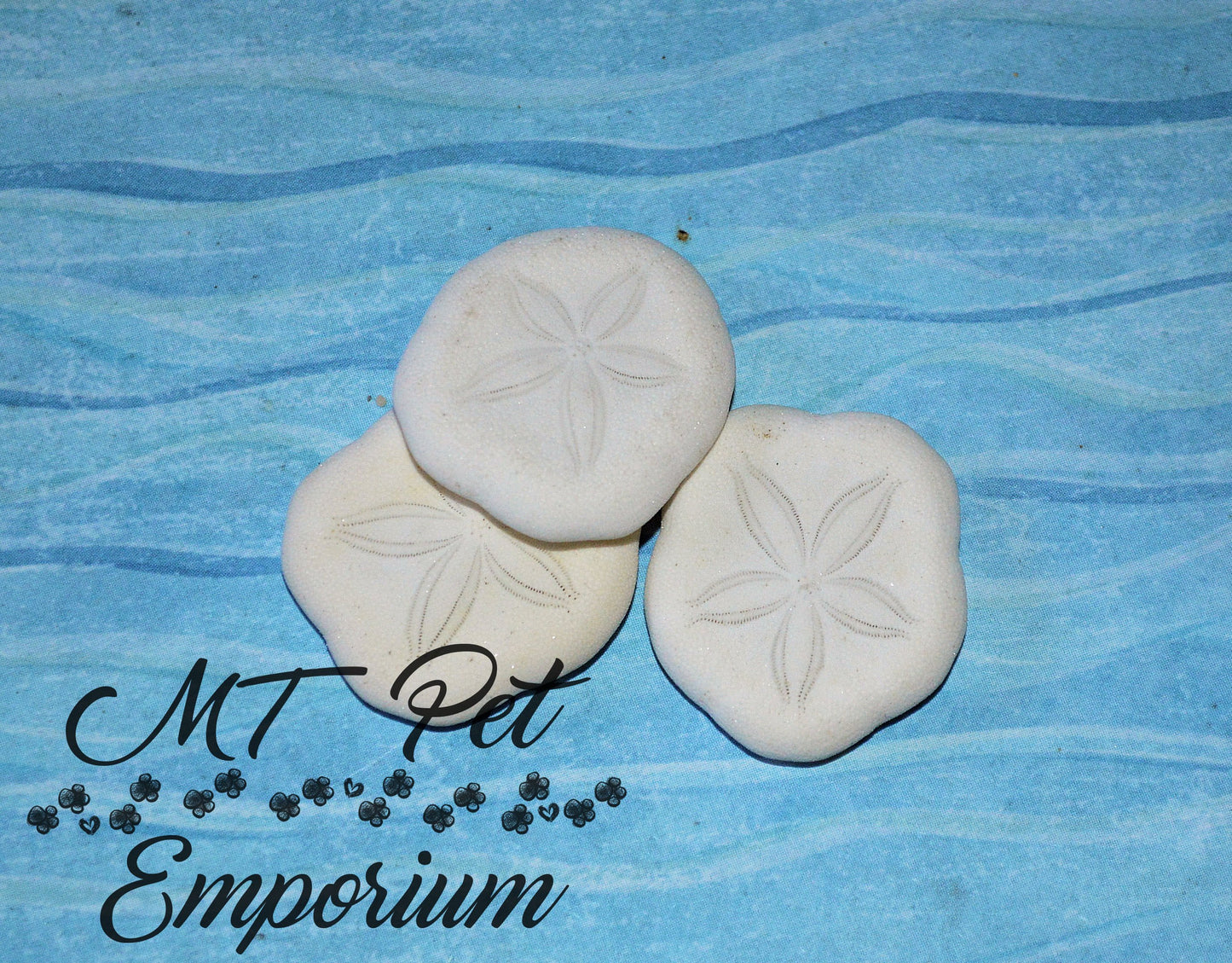 Sea Cookies - Hermit Crab Food and Decor