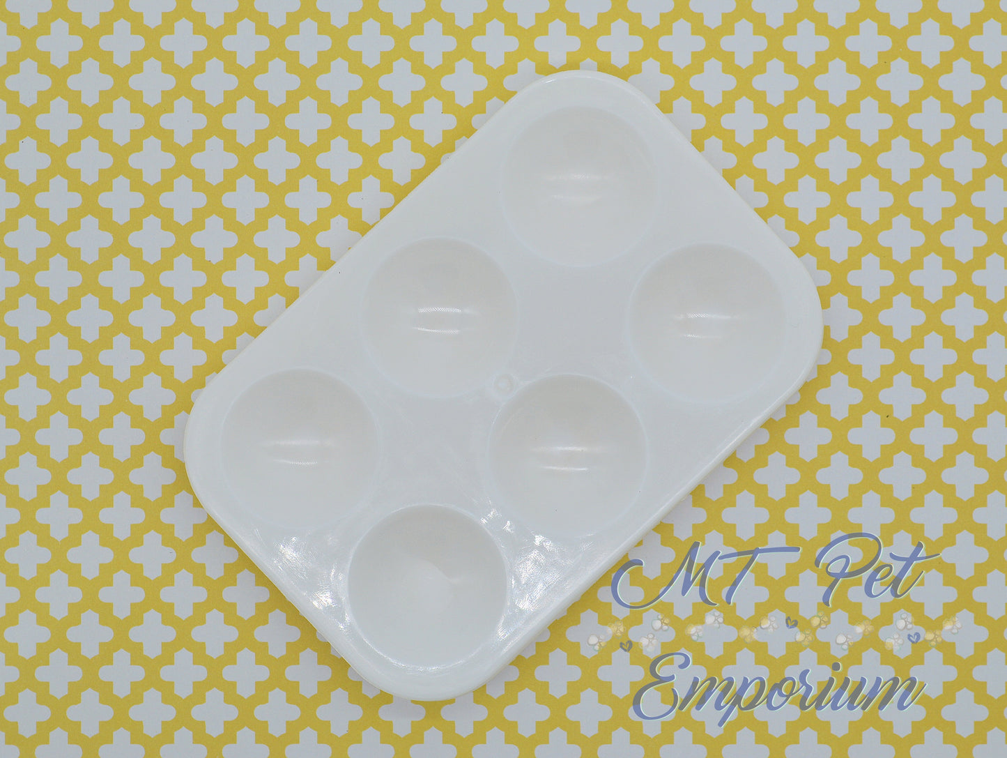 Feeding Tray for Hermit Crabs