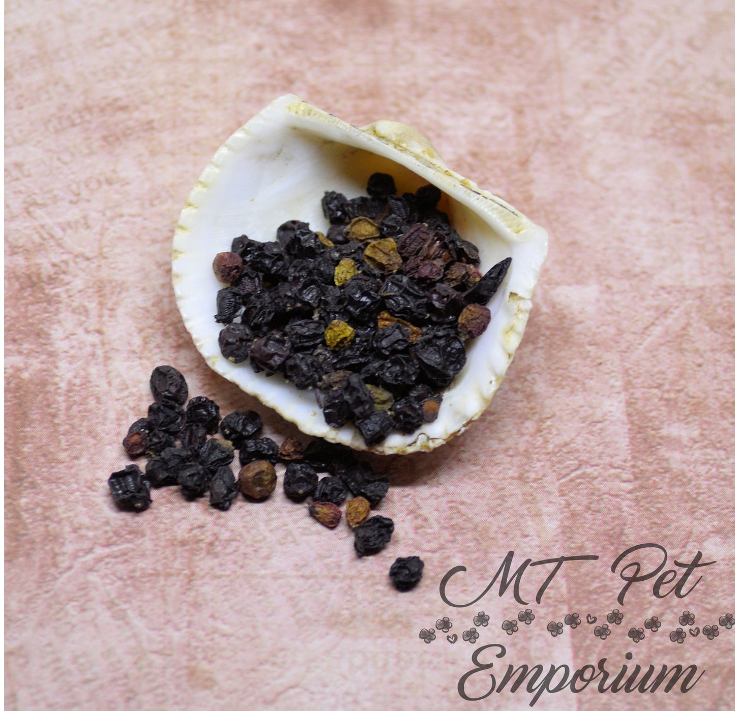 Elderberries ORGANIC - Hermit Crab Food